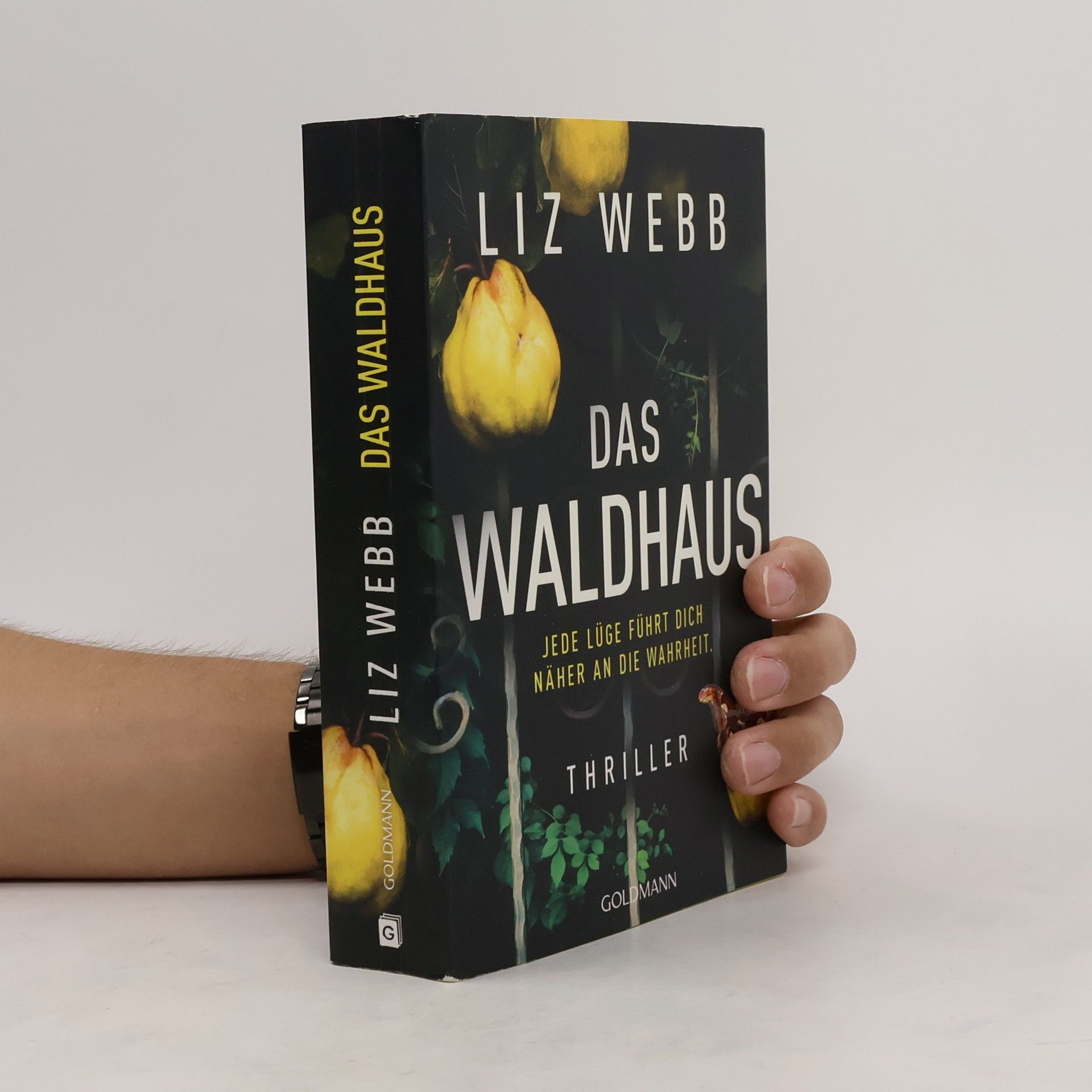 Liz Webb Das Waldhaus