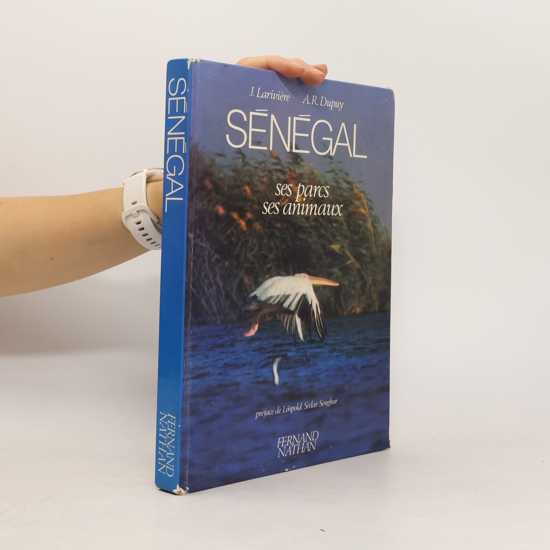 Autorenkollektiv Sénégal