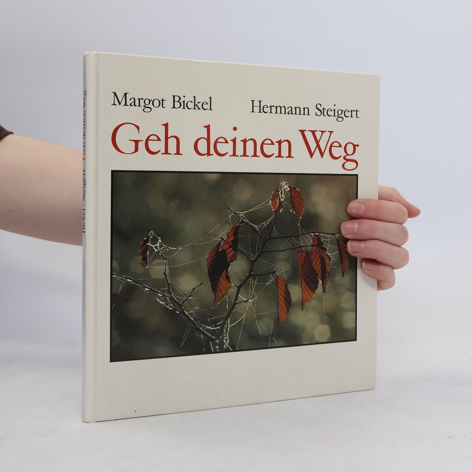 Margot Bickel Geh deinen Weg
