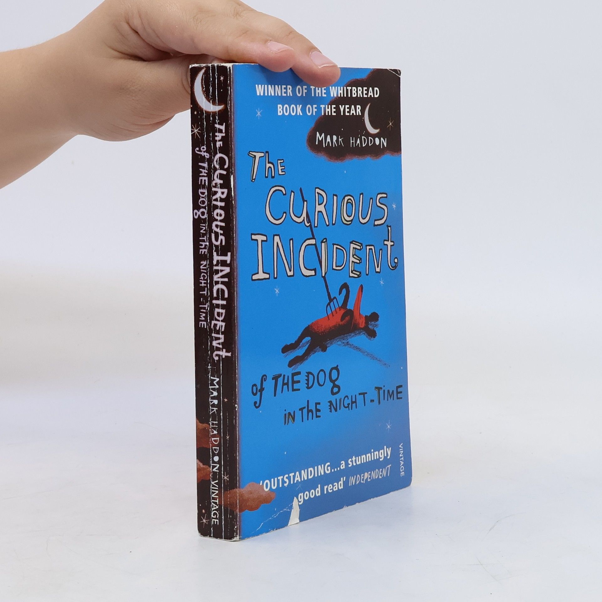 Mark Haddon The Curious Incident of The Dog in The Night-Time