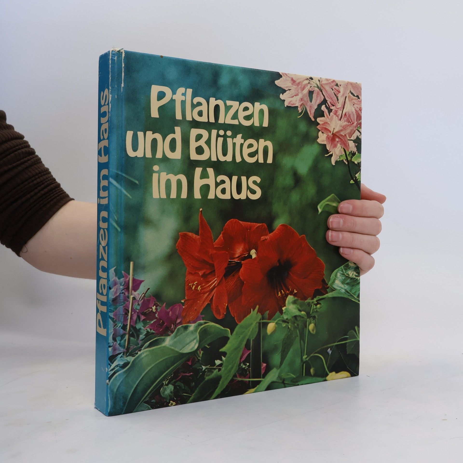 Autorenkollektiv Pflanzen und Blüten im Haus