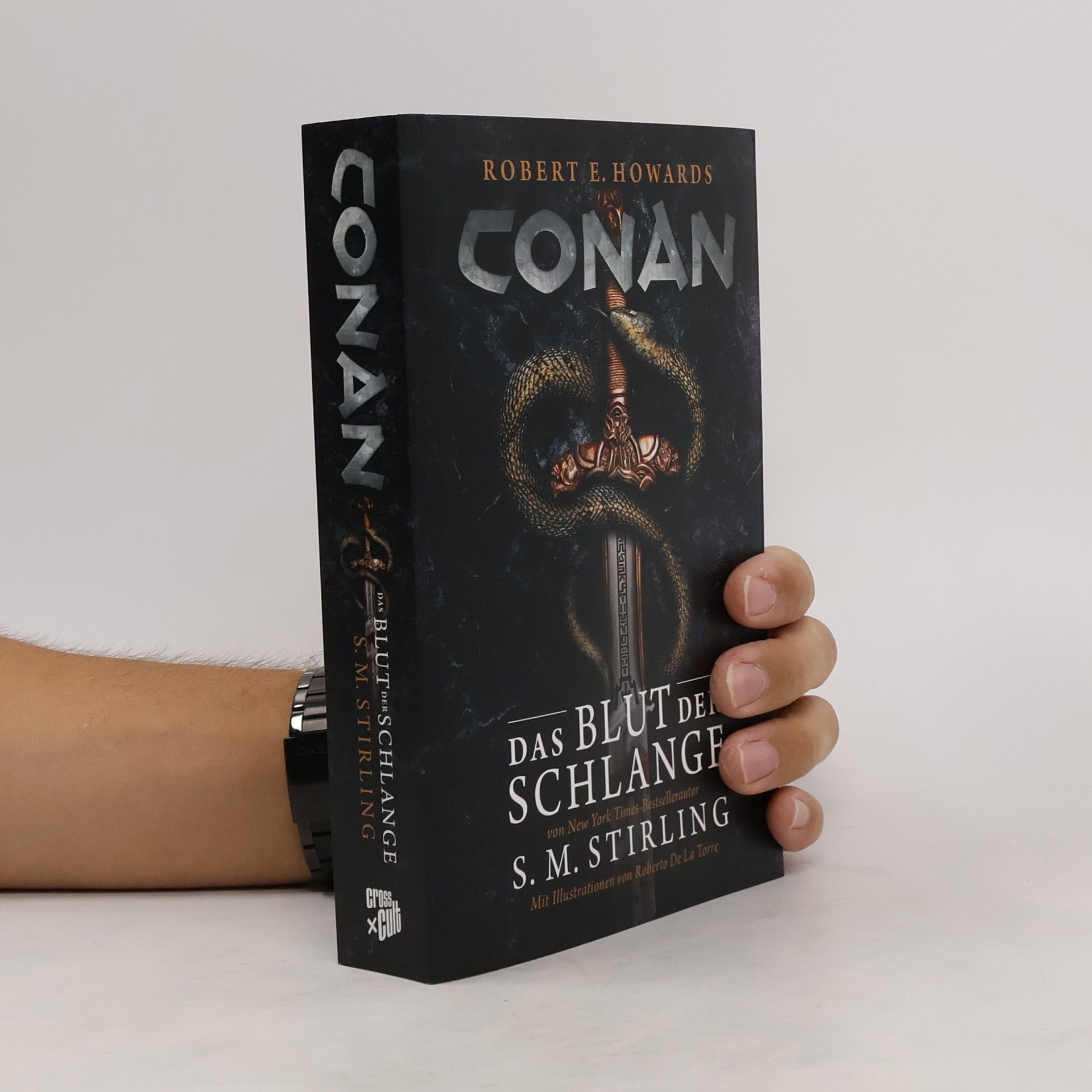 S. M. Stephen Michael Stirling Conan: Das Blut der Schlange