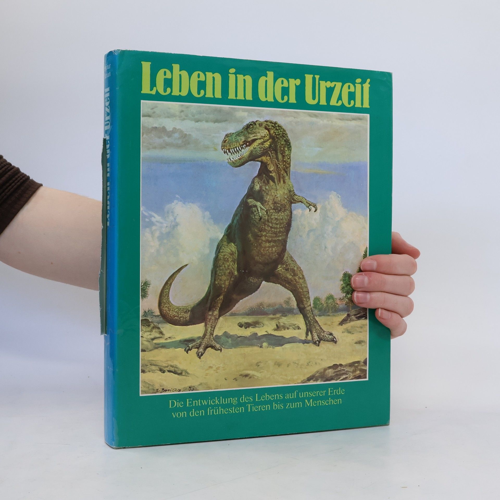 kolektiv Leben in der Urzeit