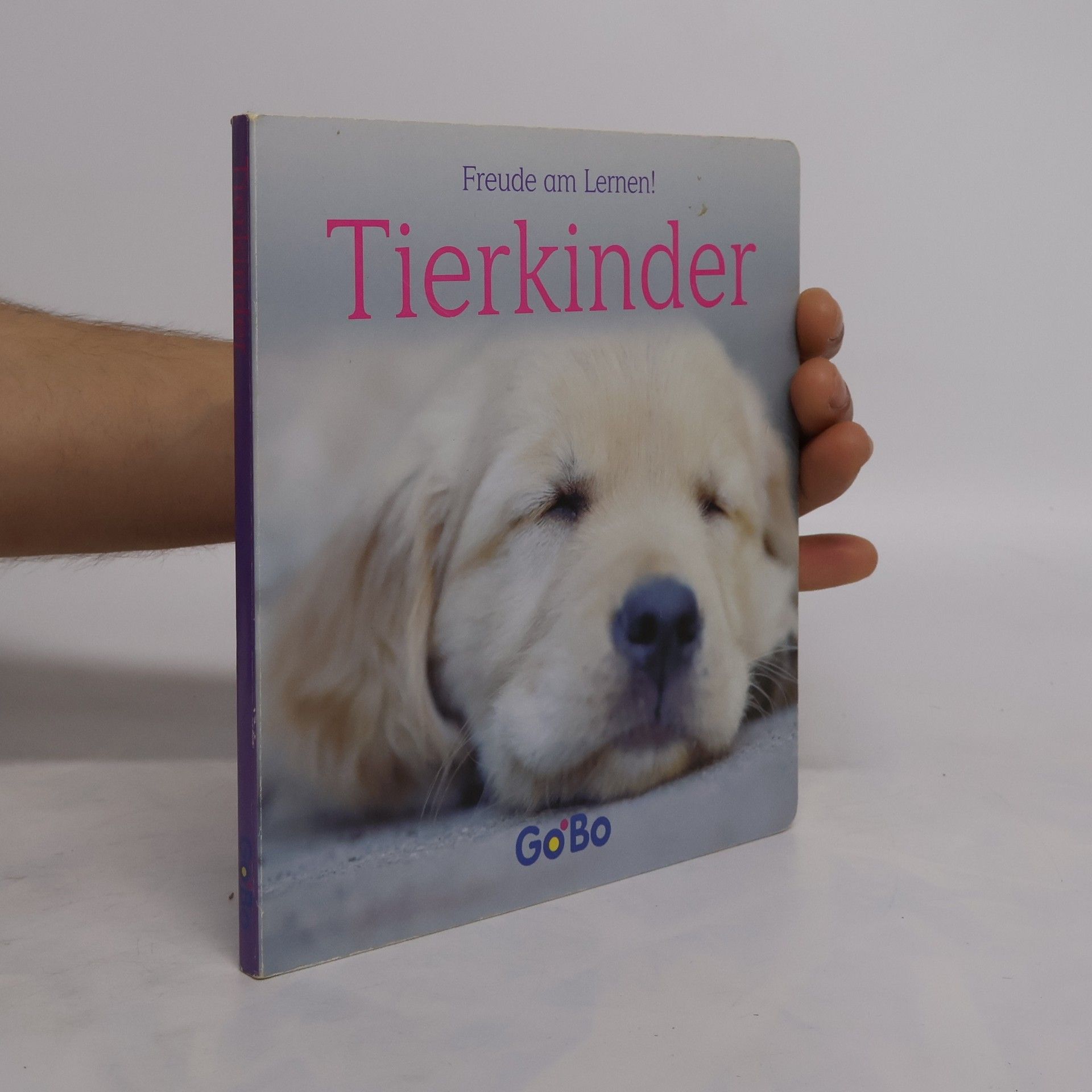 Collectif d'auteurs Freunde am Lernen! Tierkinder