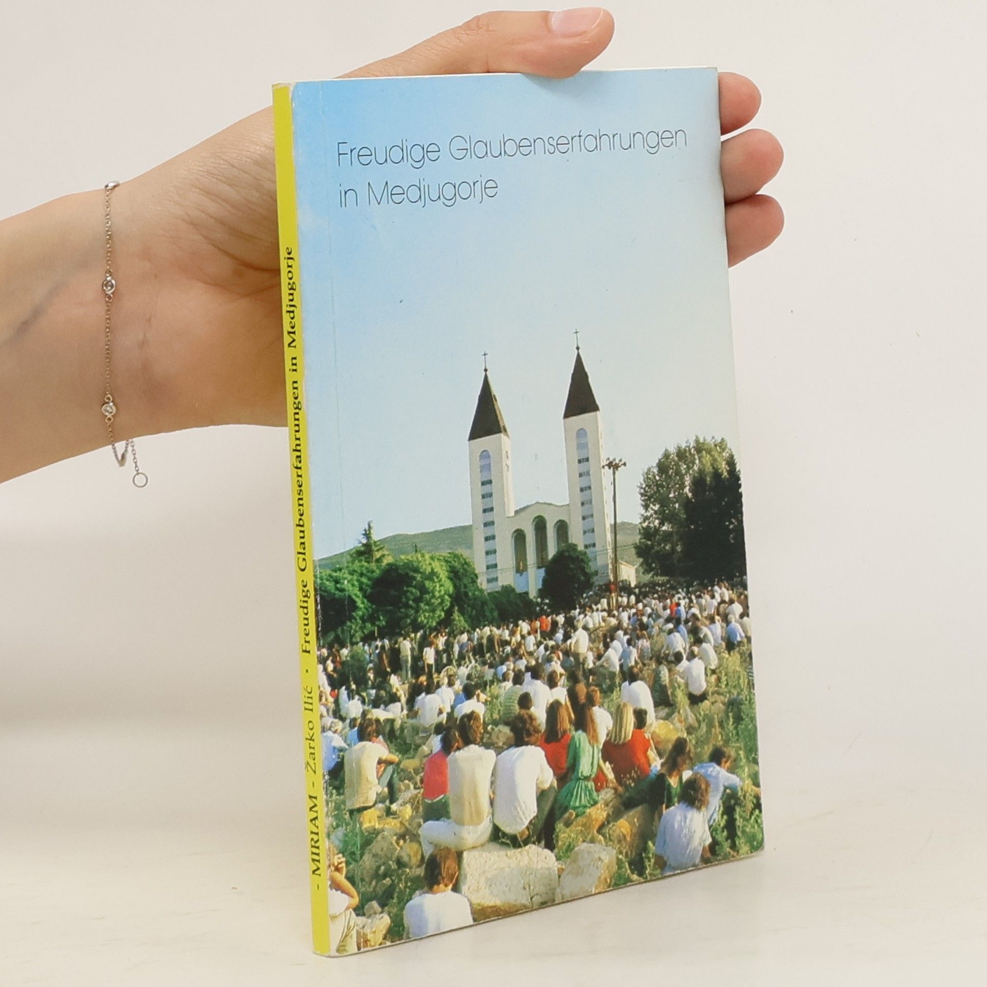 Žarko Ilič Freudige Glaubenserfahrungen in Medjugorje