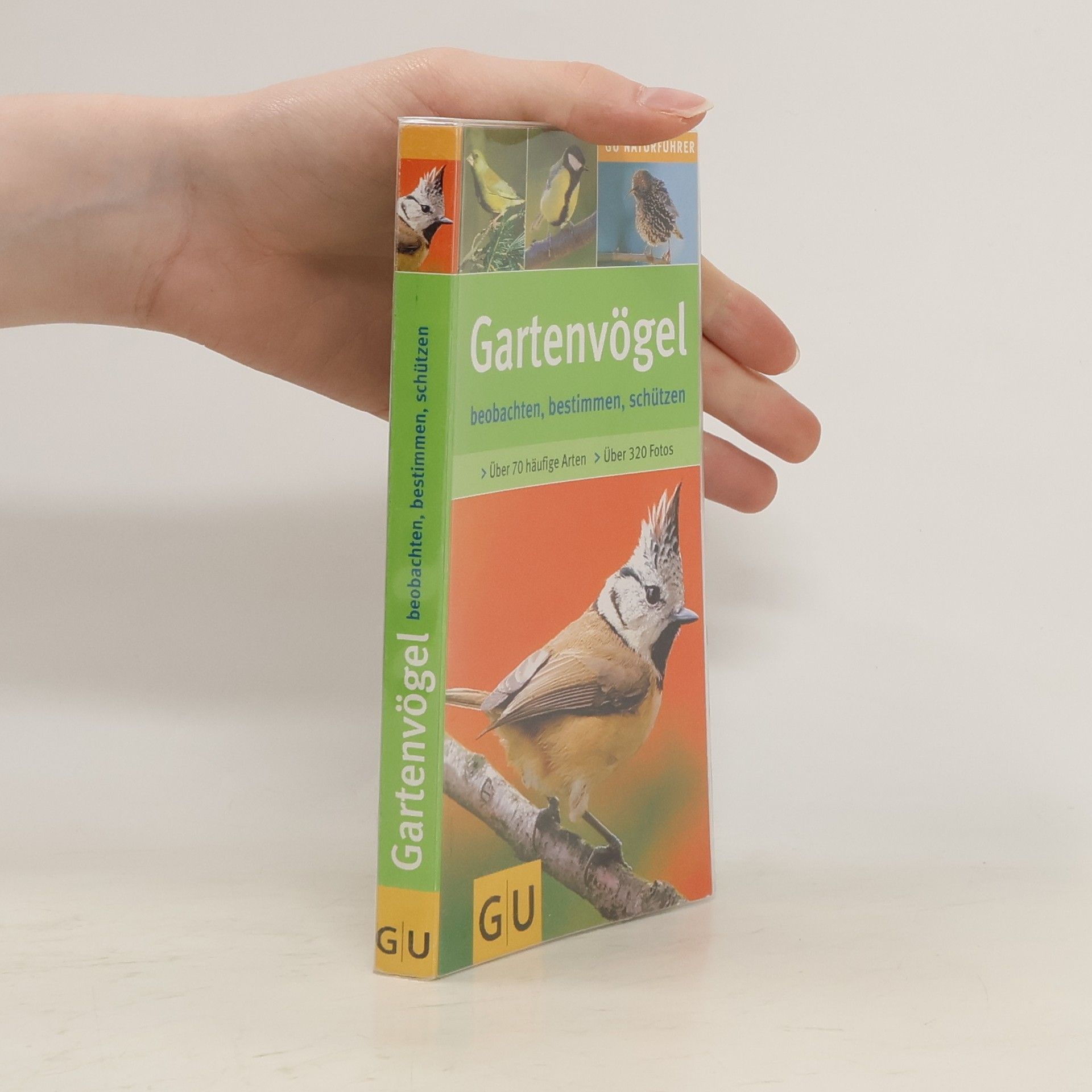 Helga Hofmann-Sieber Gartenvögel beobachten, bestimmen, schützen ; [über 70 häufige Arten]