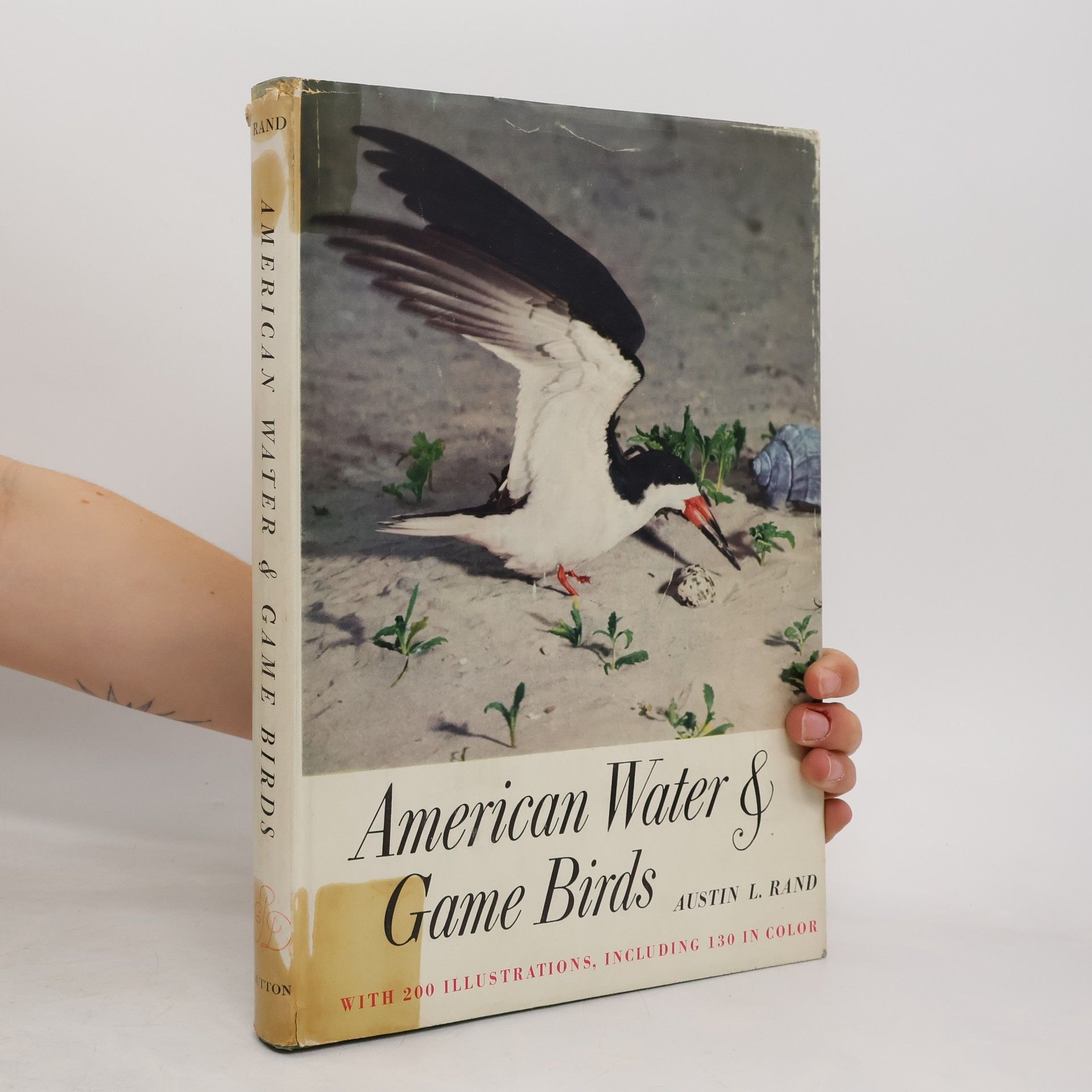 Alexander Wetmore Water, Prey, and Game Birds of North America