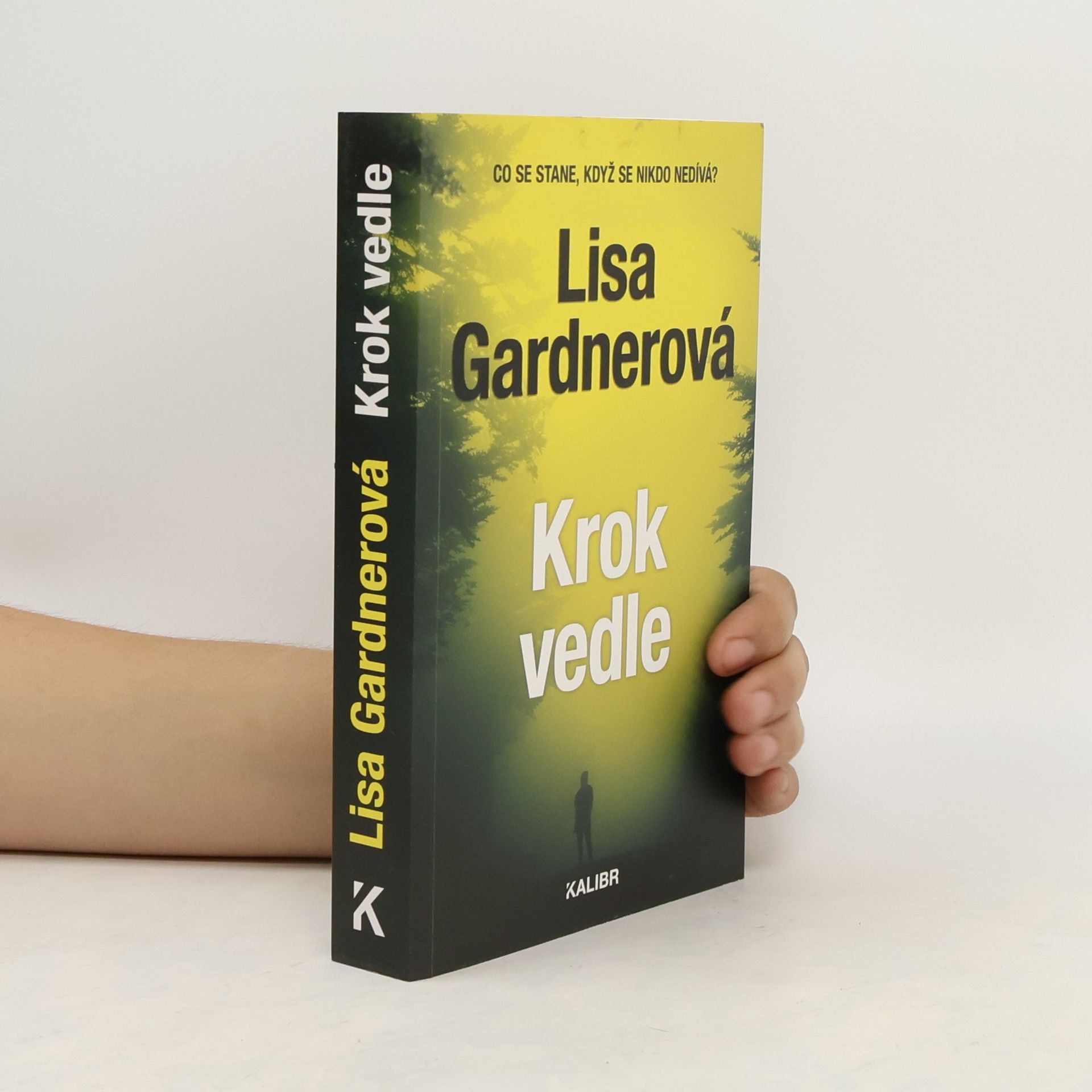 Lisa Gardner Krok vedle