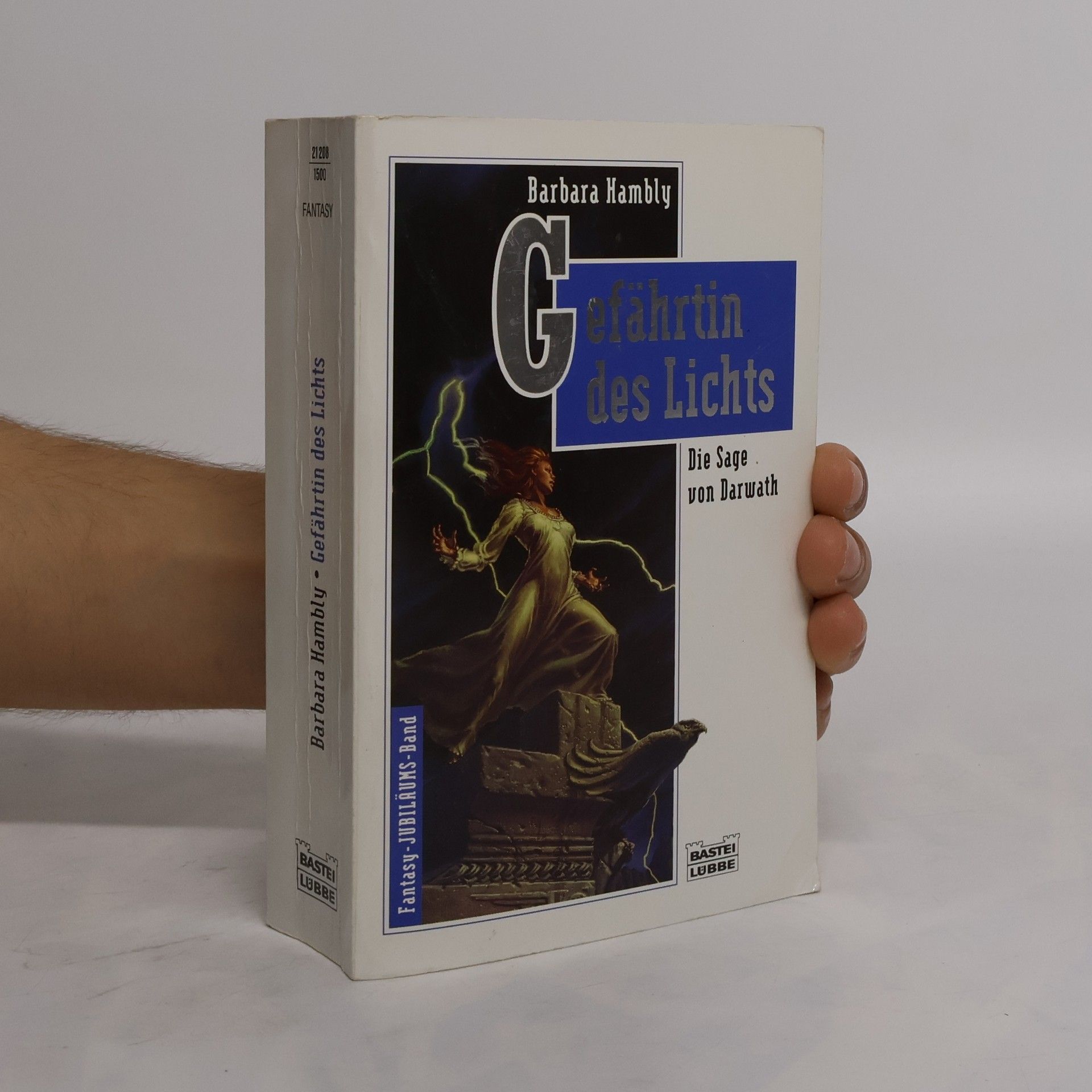 Barbara Hambly Gefährtin des Lichts