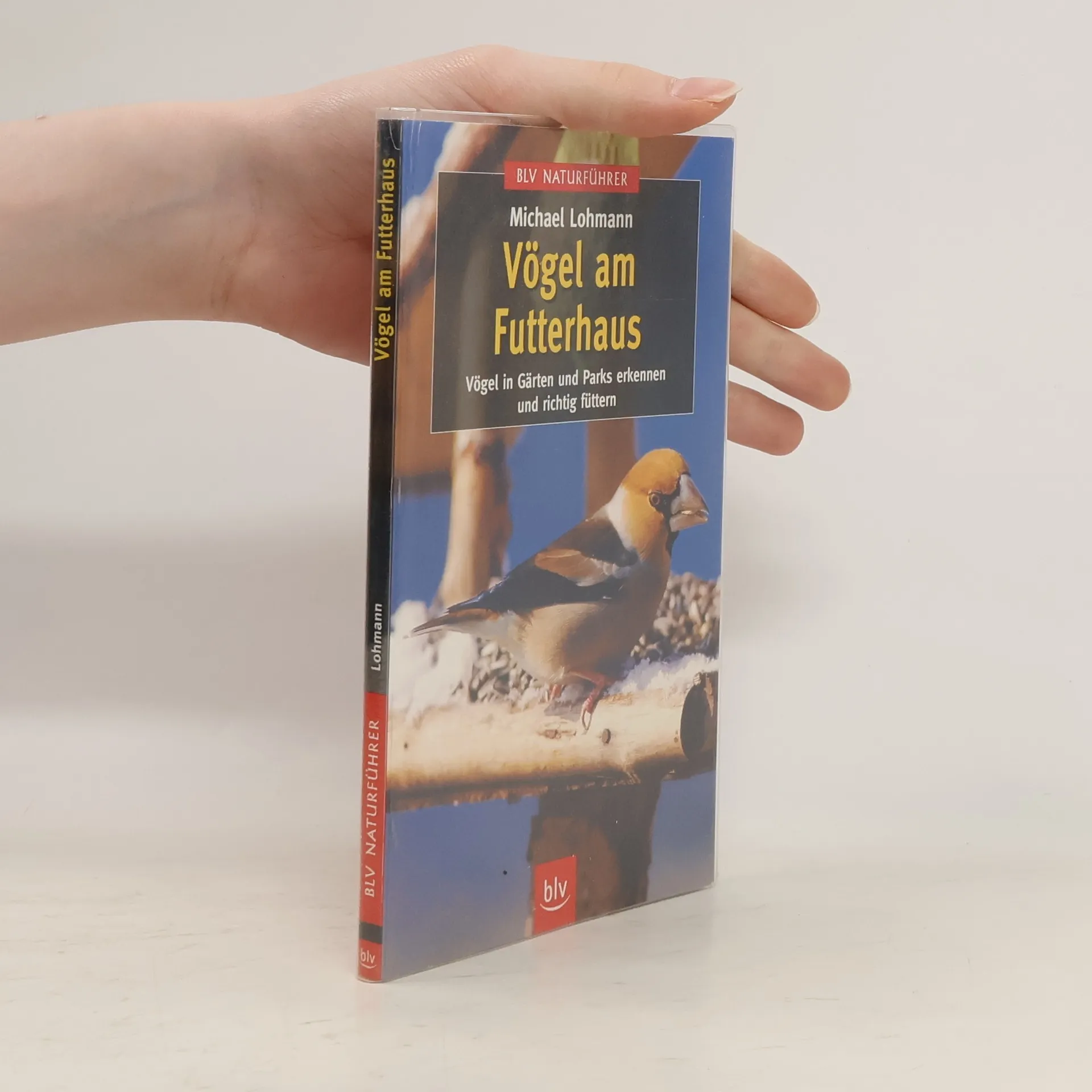 Vögel am Futterhaus | Buch | Michael Lohmann