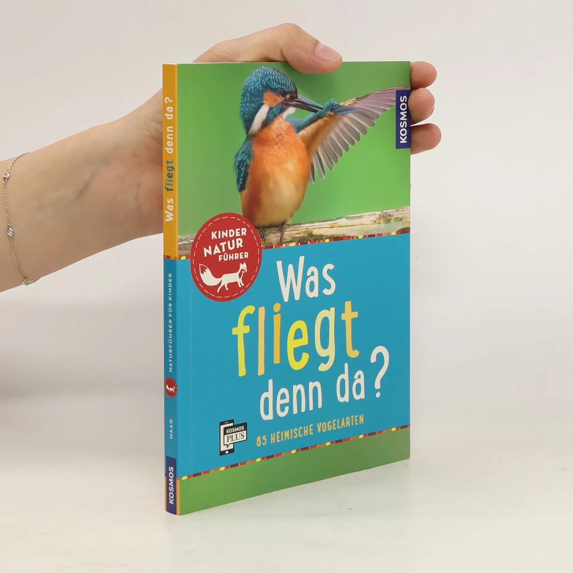 Was fliegt denn da? | Buch | Hardcover | Holger Haag