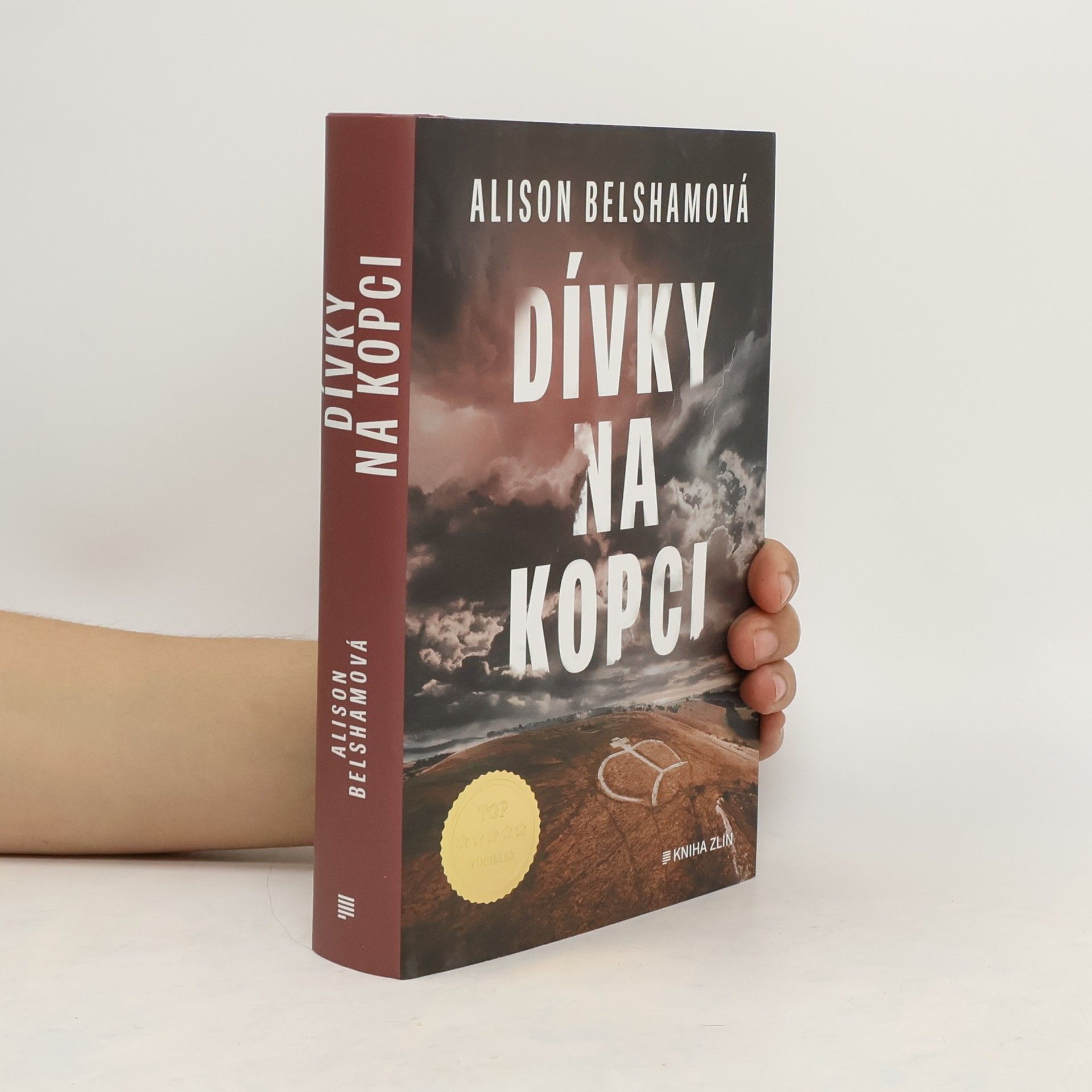 Alison Belsham Dívky na kopci