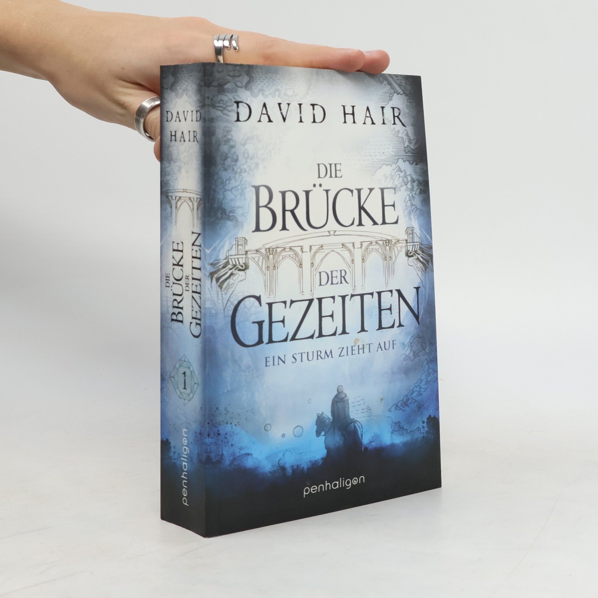 David Hair Die Brücke der Gezeiten 1