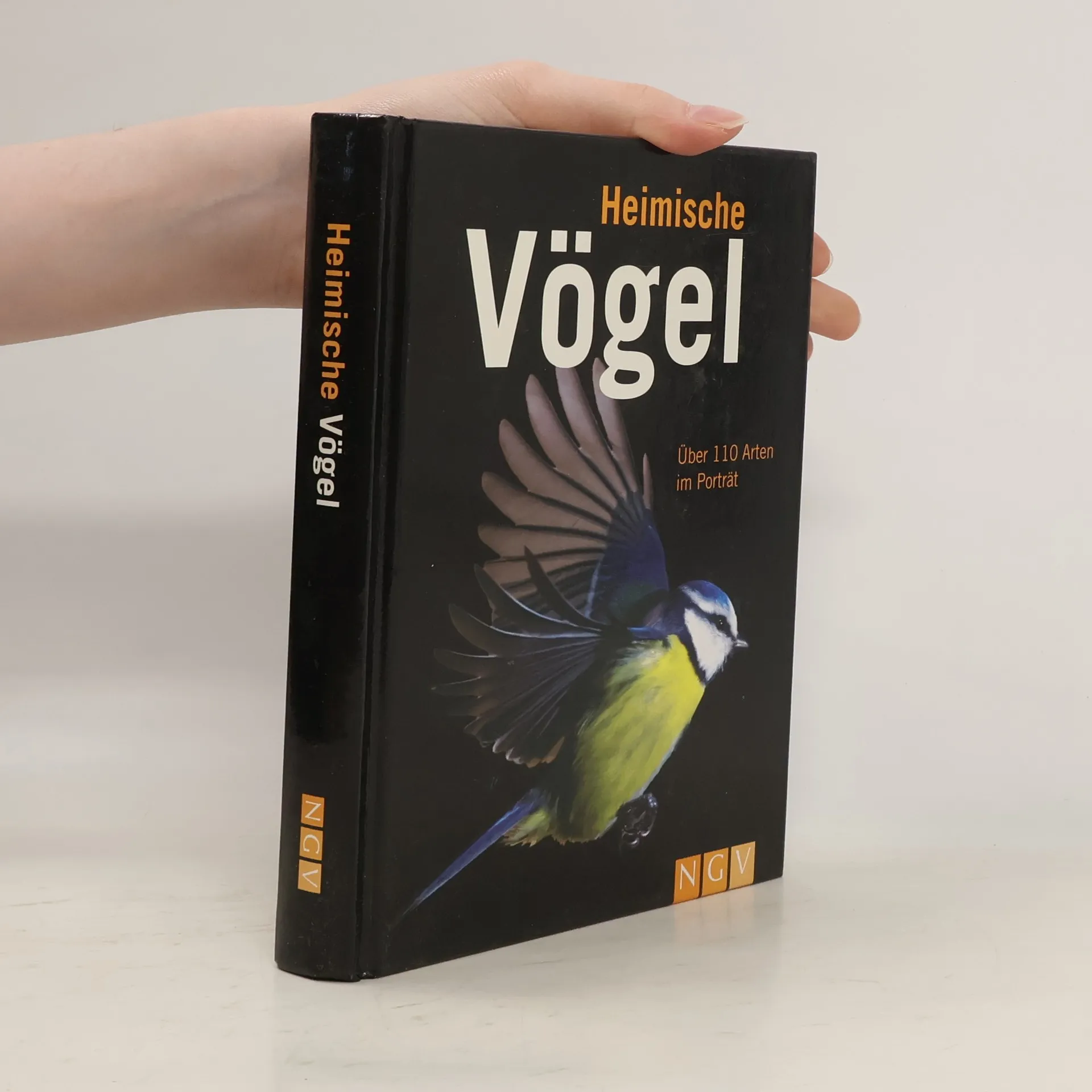 Heimische Vögel | Buch | Hardcover | Jochen Dierschke