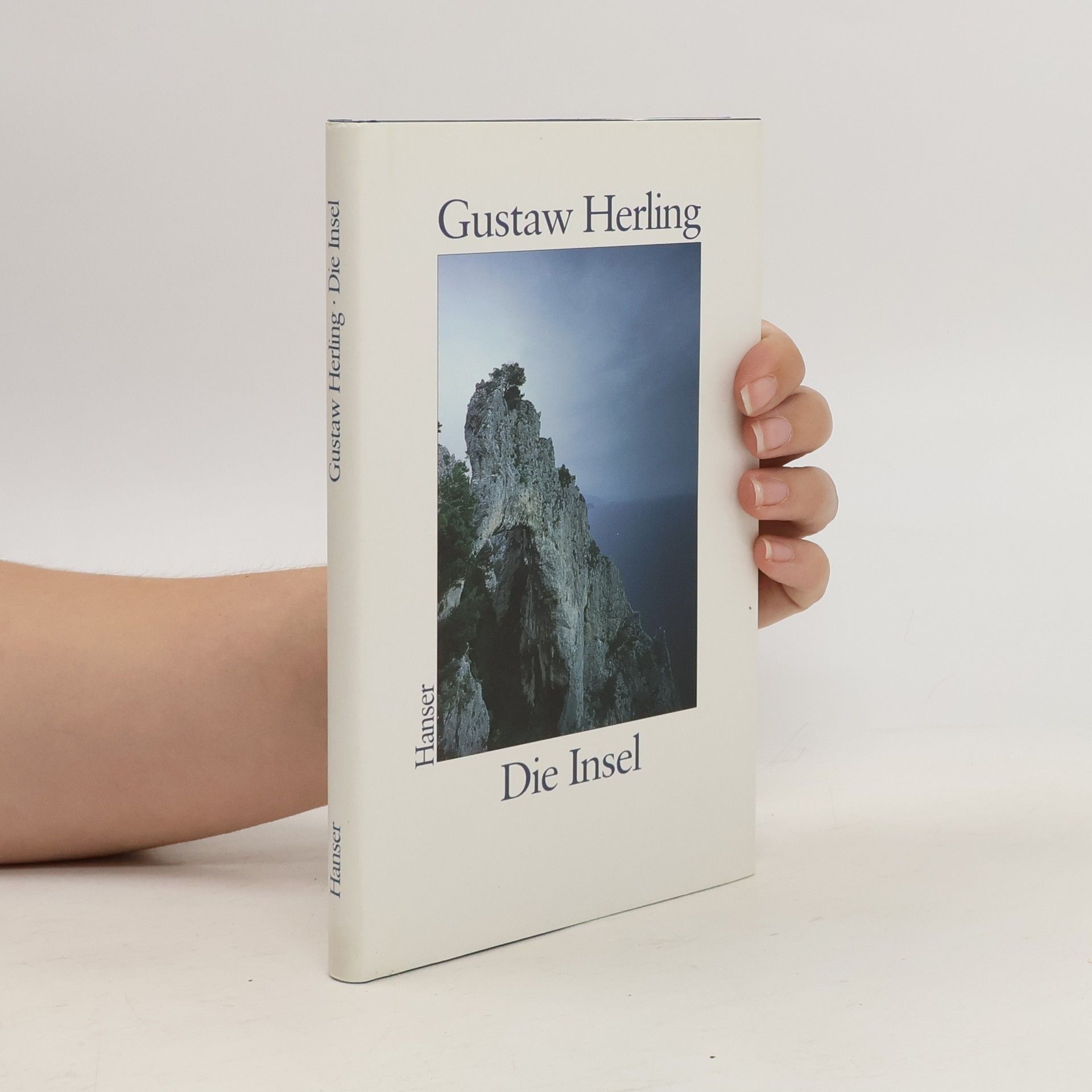 Gustaw Herling Grudziński Die Insel