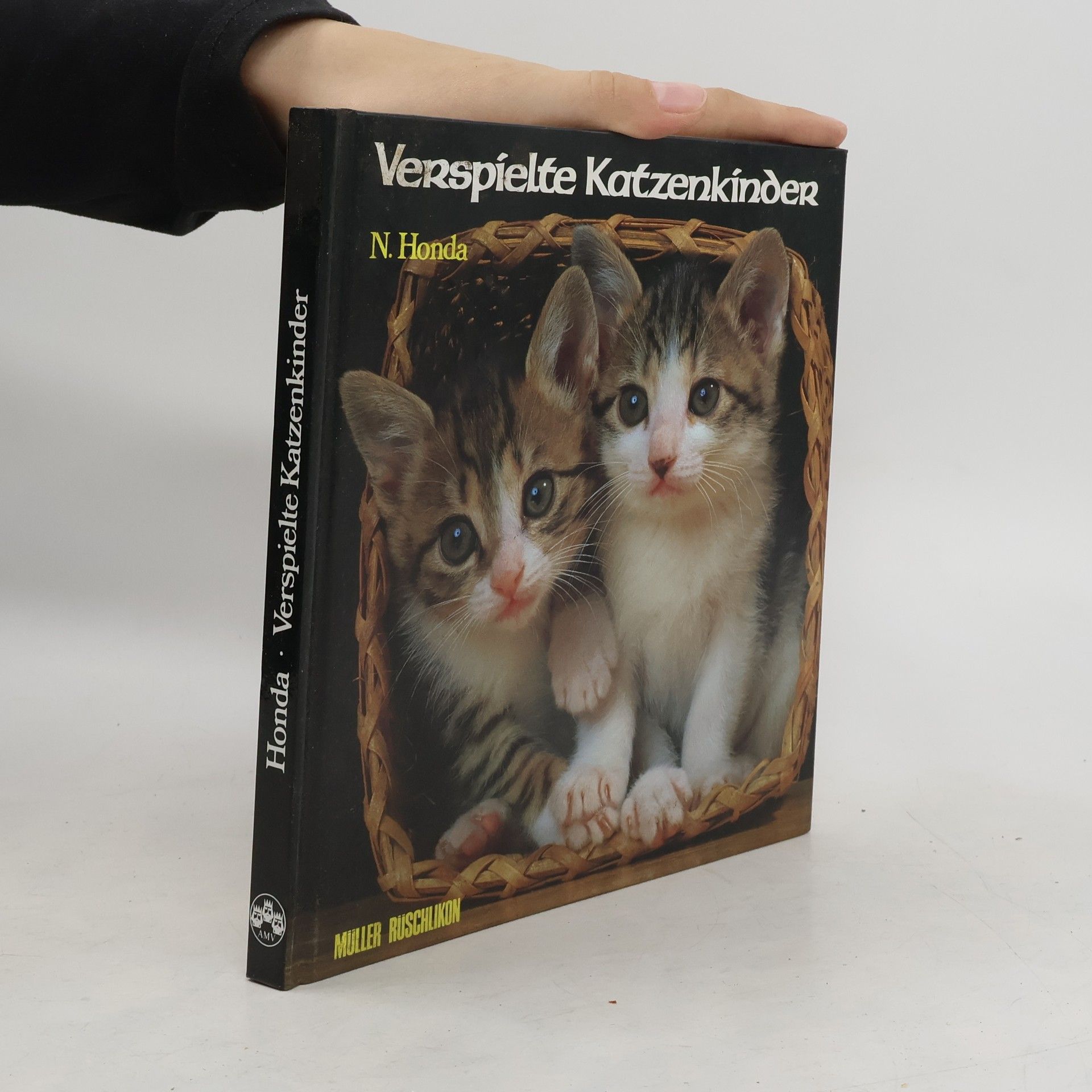 Nobuo Honda Verspielte Katzenkinder