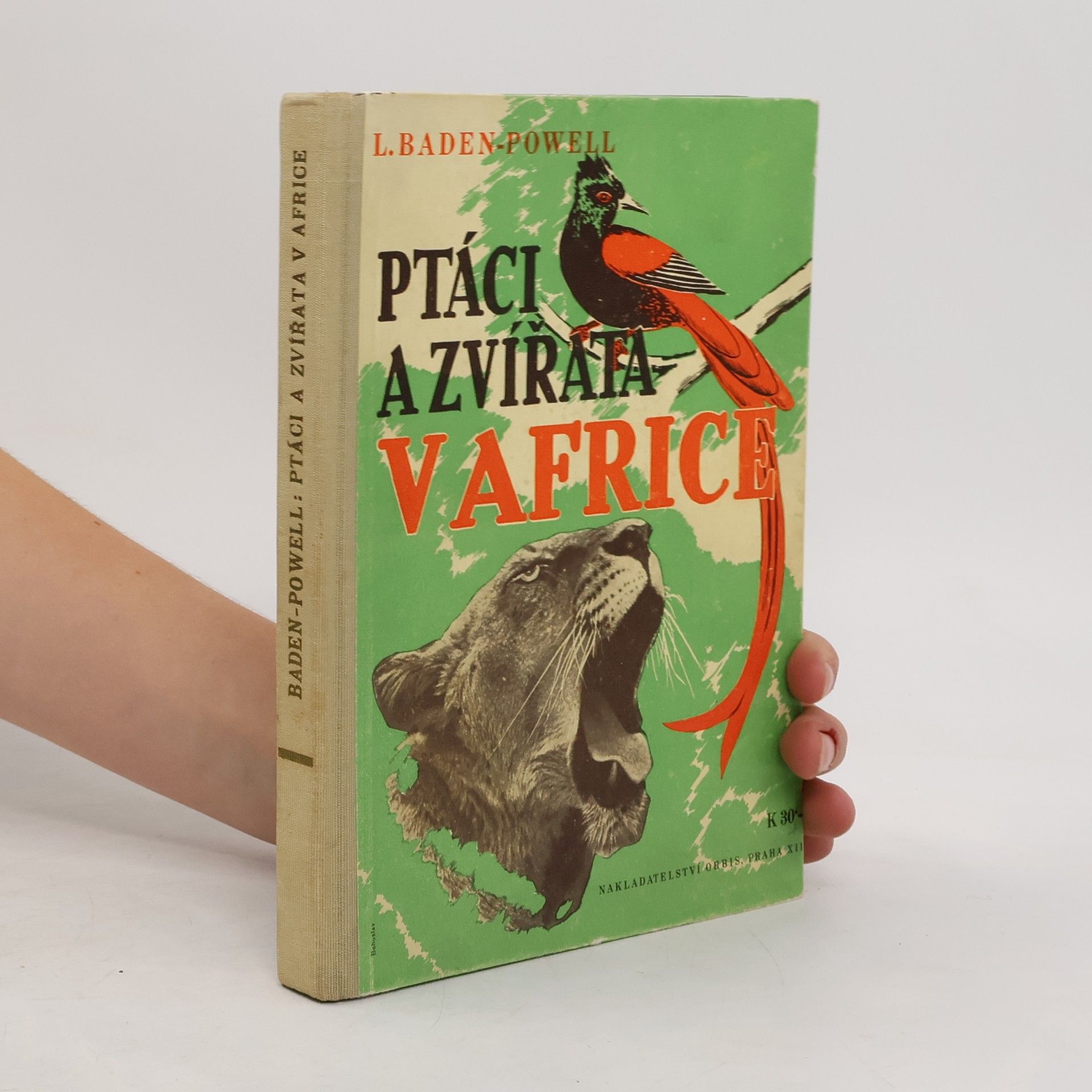 Baden Henry Baden-Powell Ptáci a zvířata v Africe