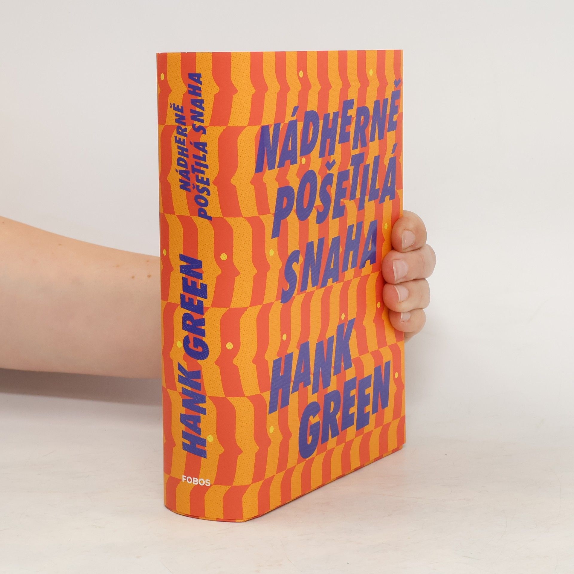 Hank Green Nádherně pošetilá snaha