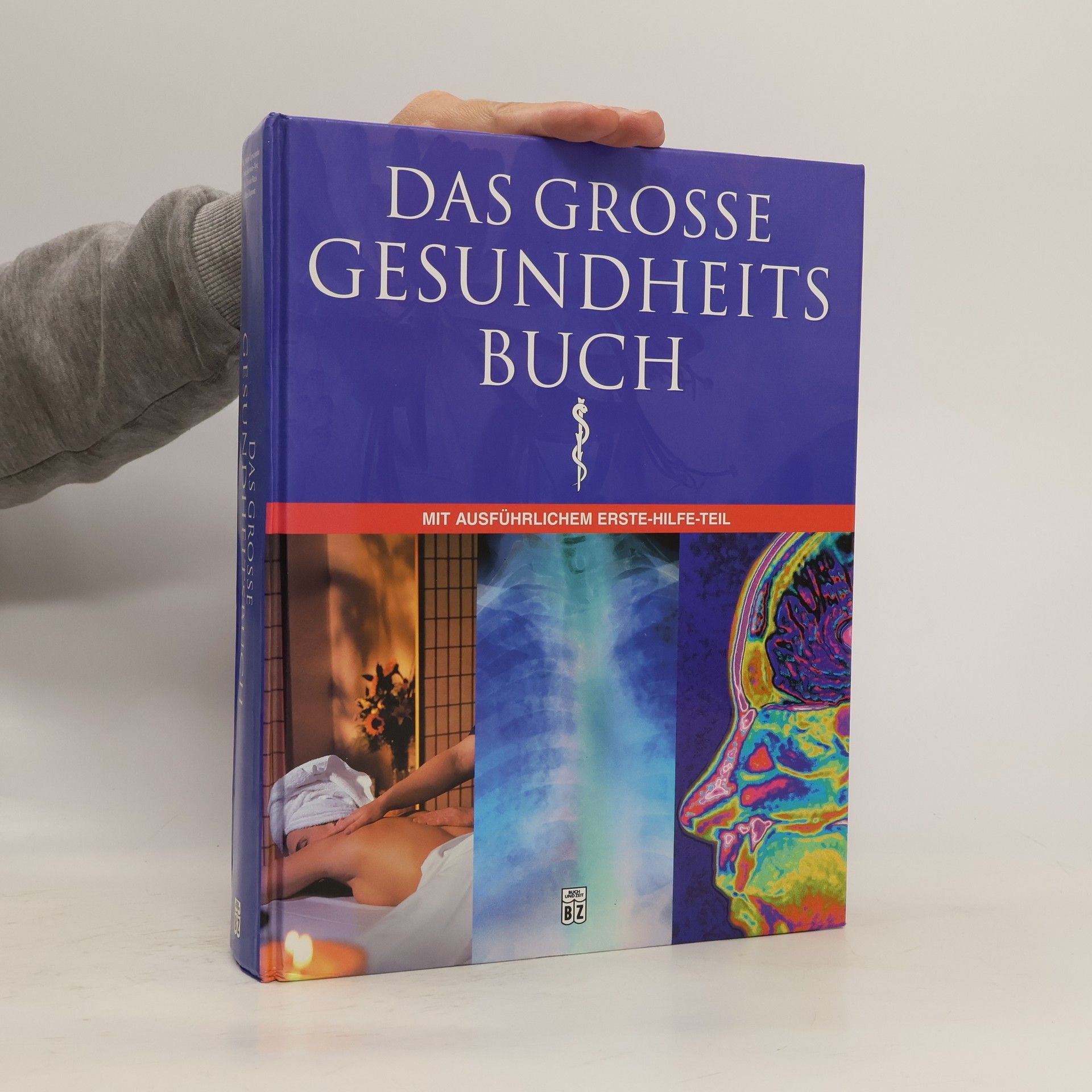 Susan Lipscombe Das grosse Gesundheitsbuch
