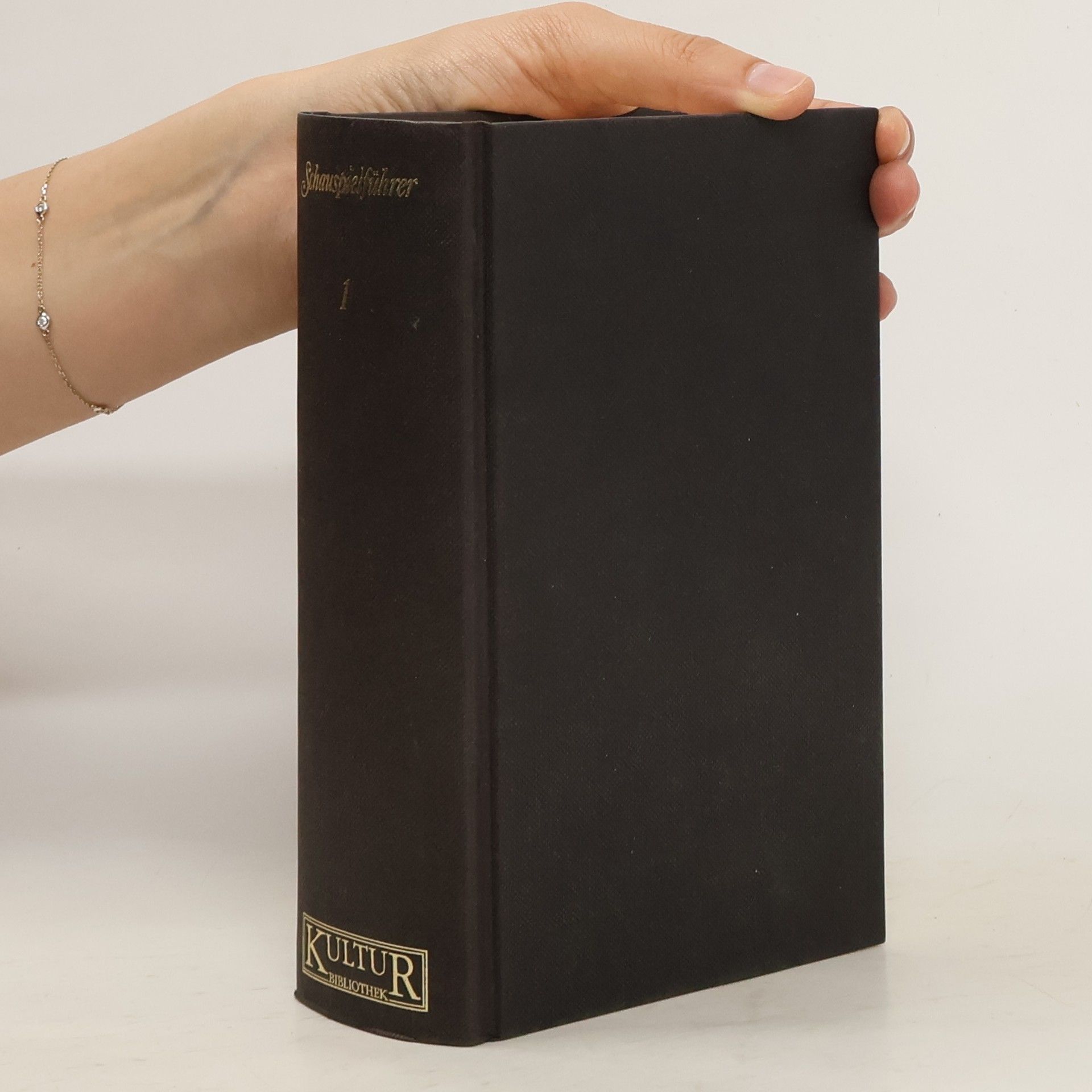 Collectif d'auteurs Schauspiel Führer