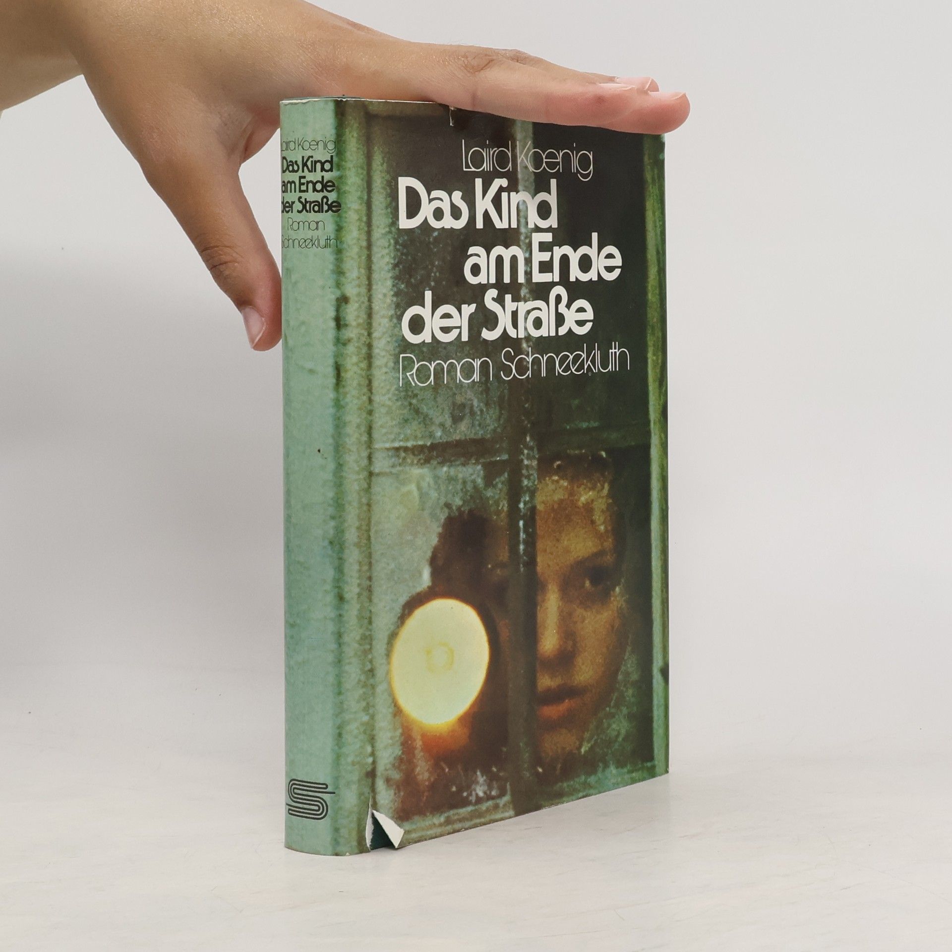 Laird Koenig Das Kind am Ende der Strasse