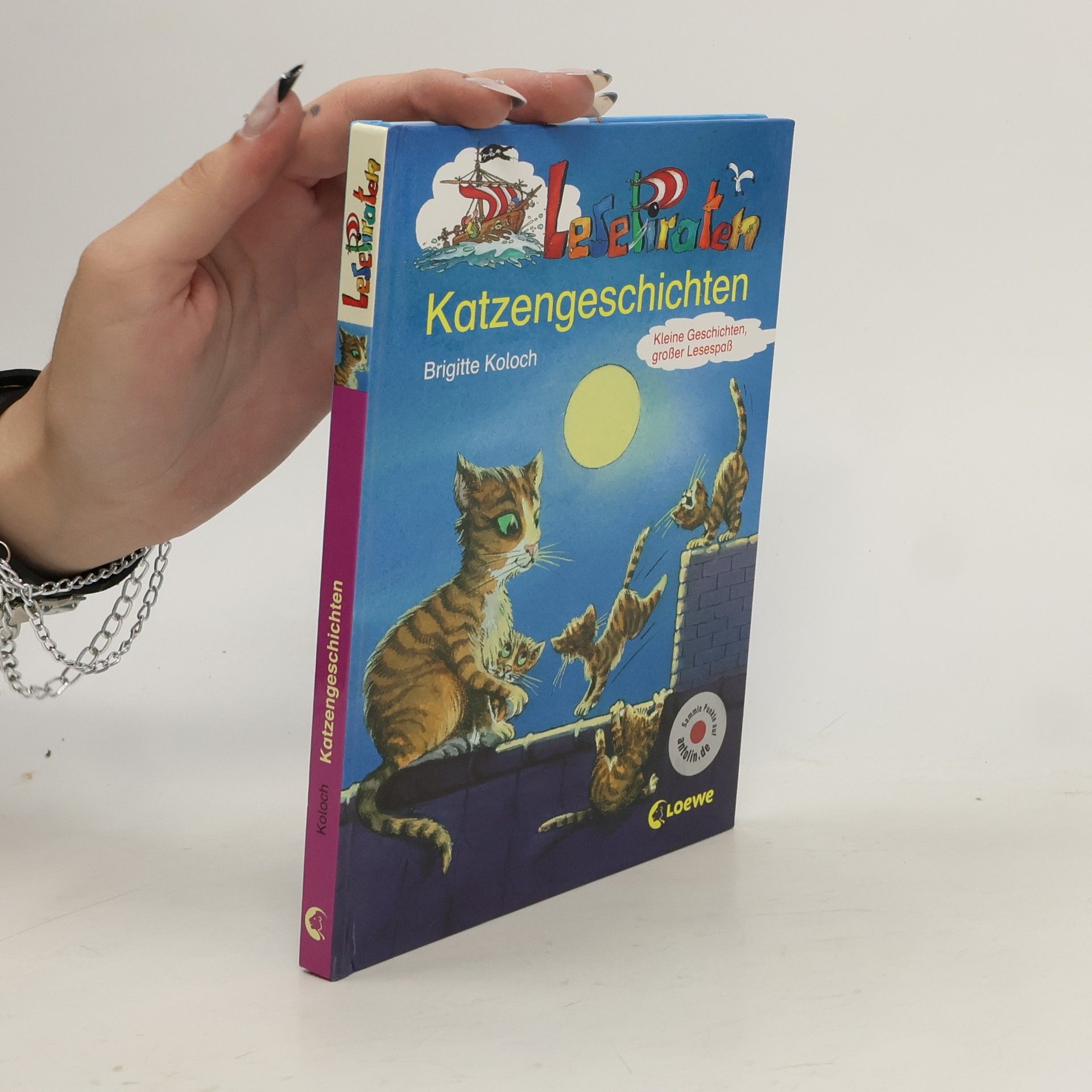 Brigitte Kolloch LesePiraten-Katzengeschichten