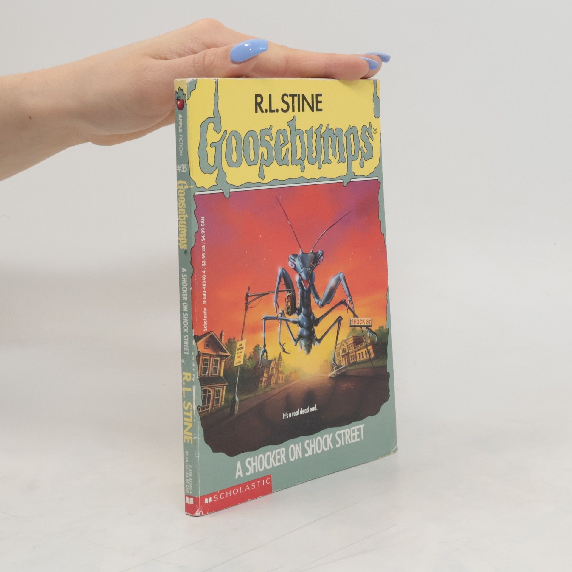 R. L. Stine A Shocker on Shock Street