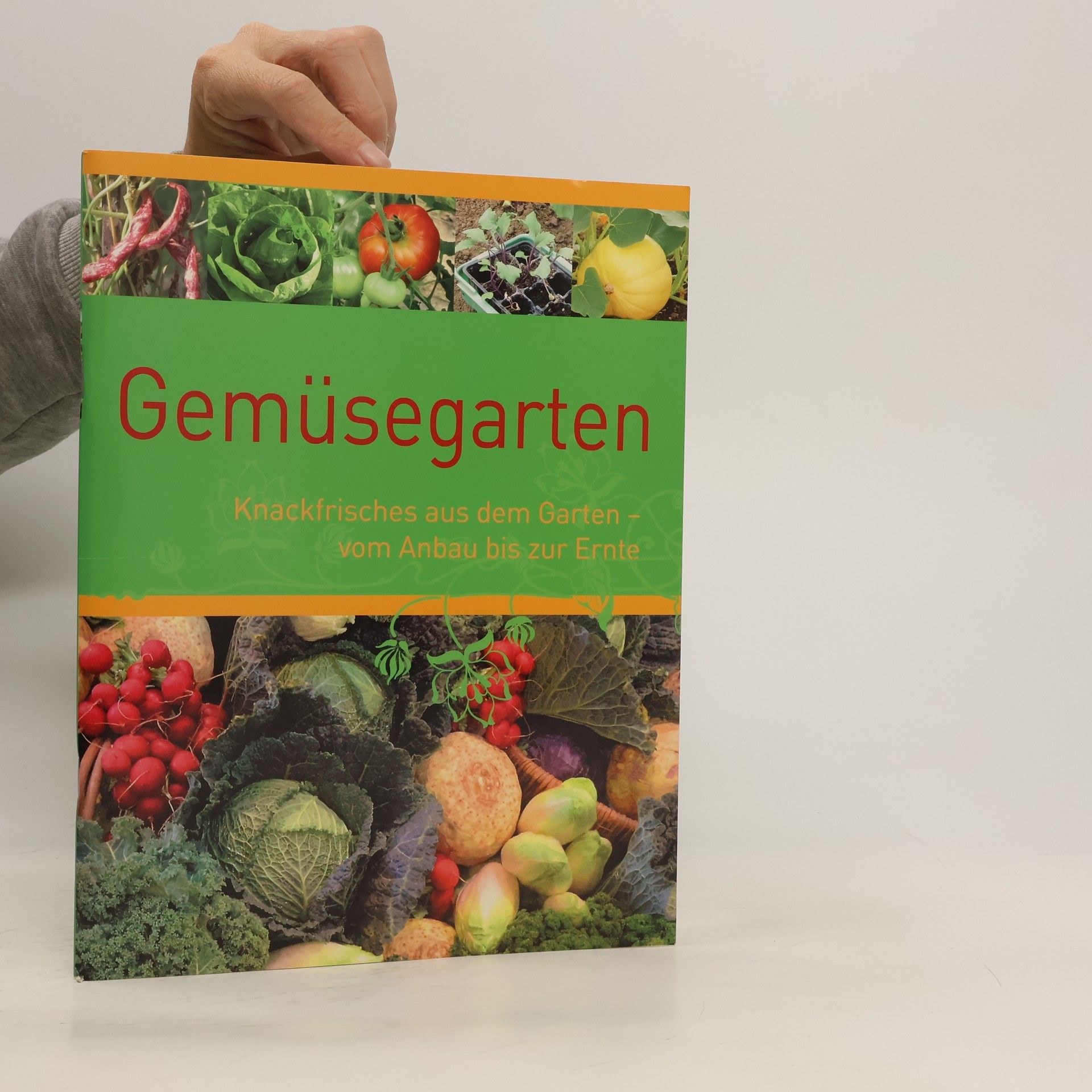 Autorenkollektiv Der Gemüsegarten