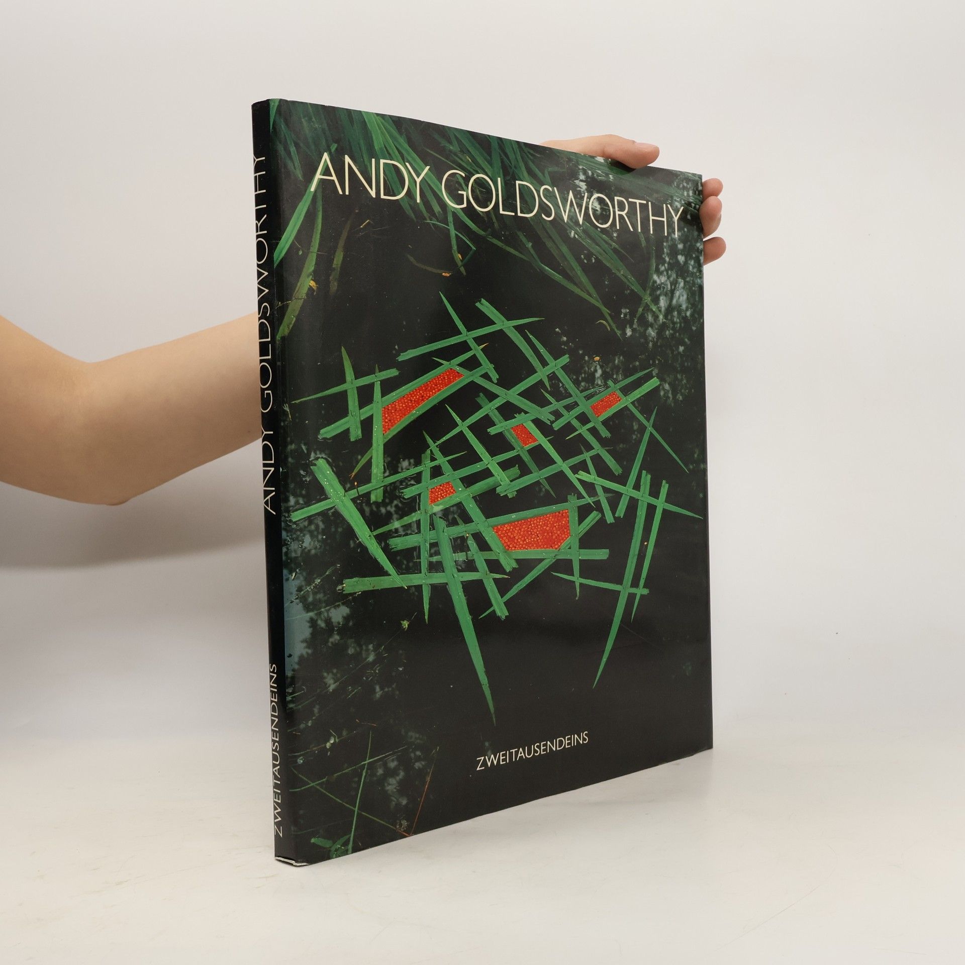 Andy Goldsworthy Zweitausendeins