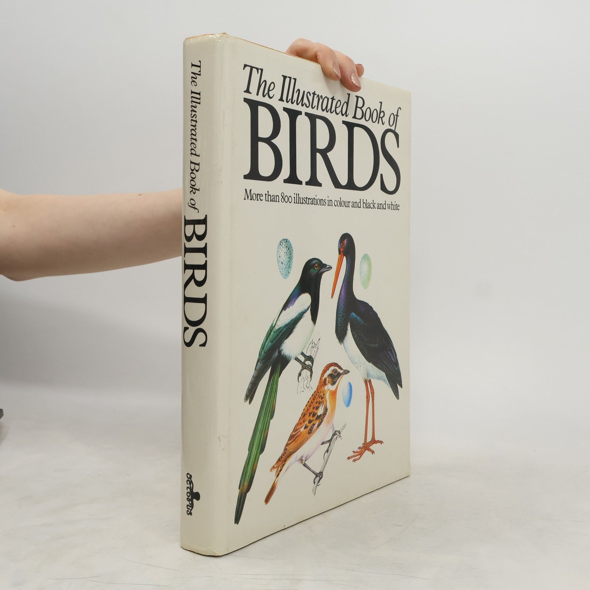 Jiří Felix The Illustrated Book of Birds