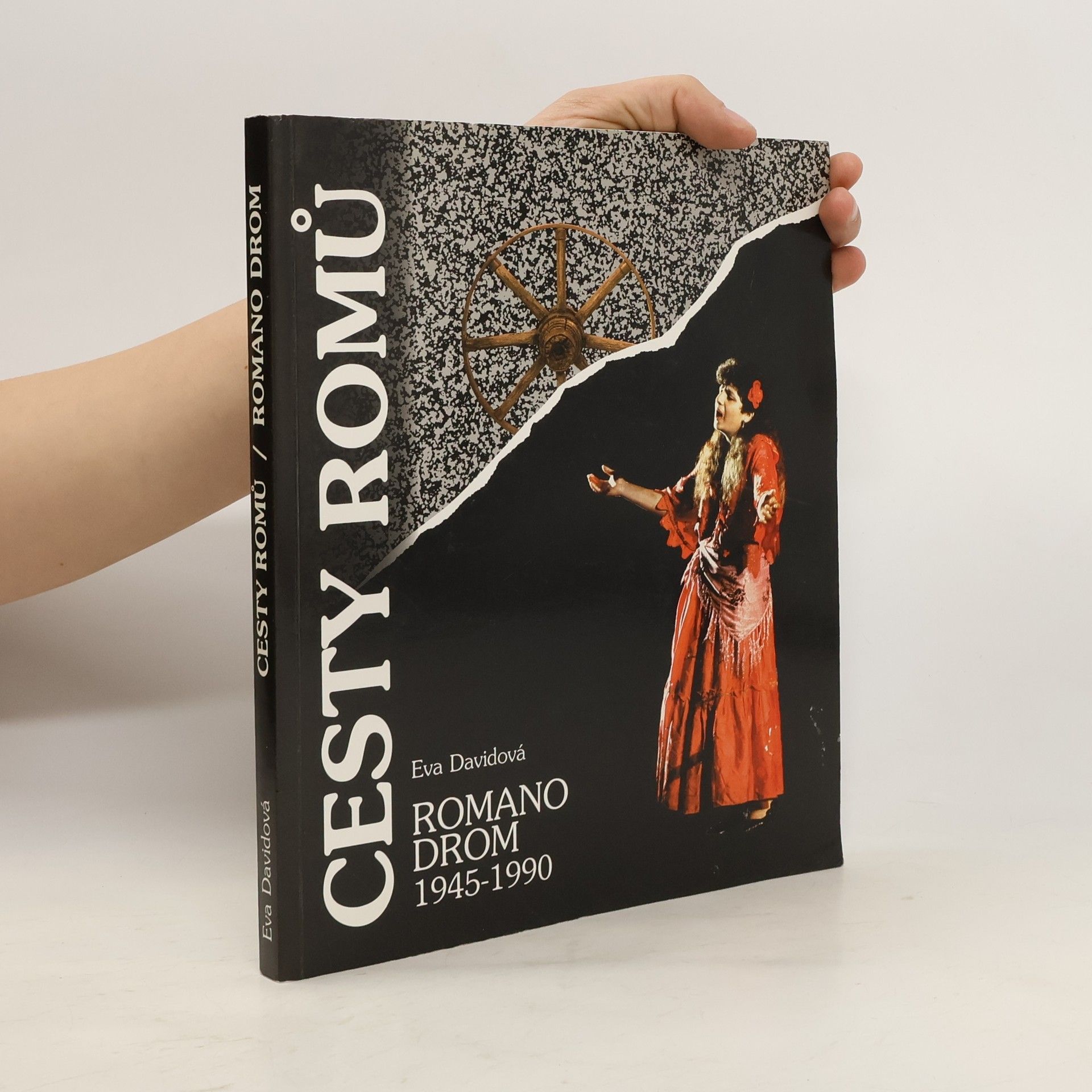 Eva Davidová Cesty Romů - Romano drom 1945-1990