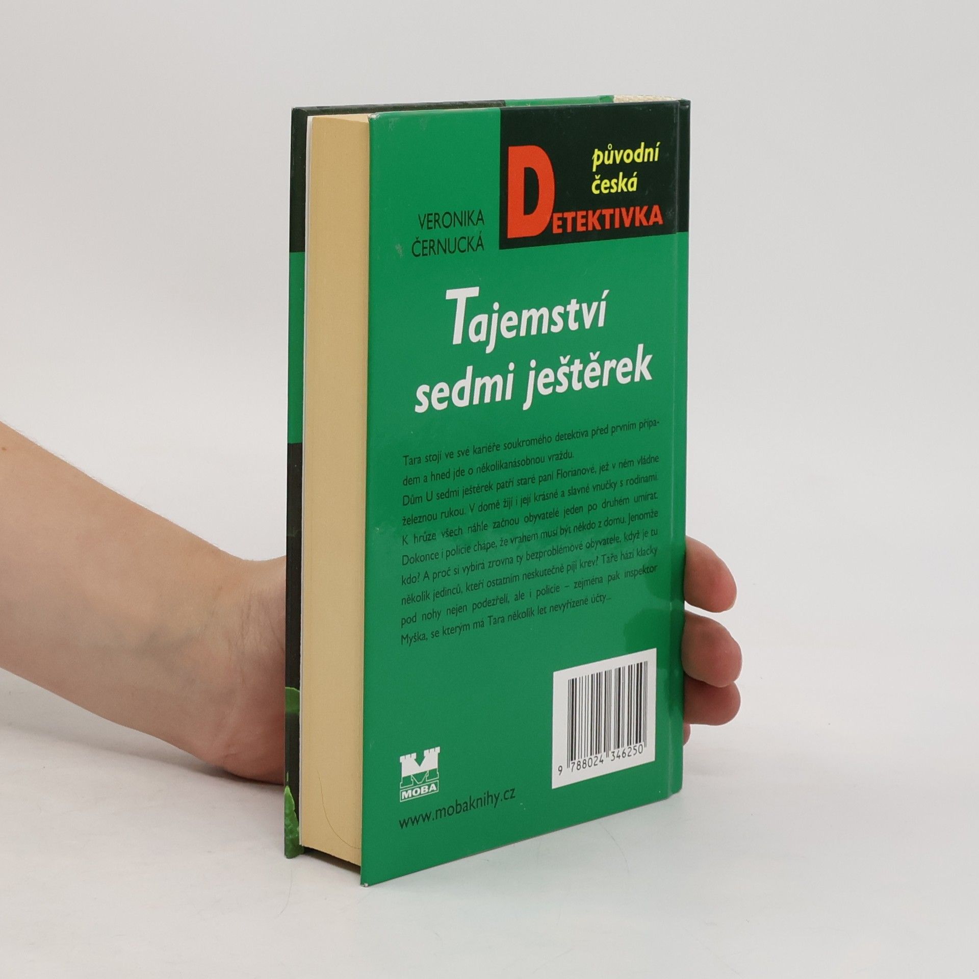 Veronika Černucká Tajemství sedmi ještěrek