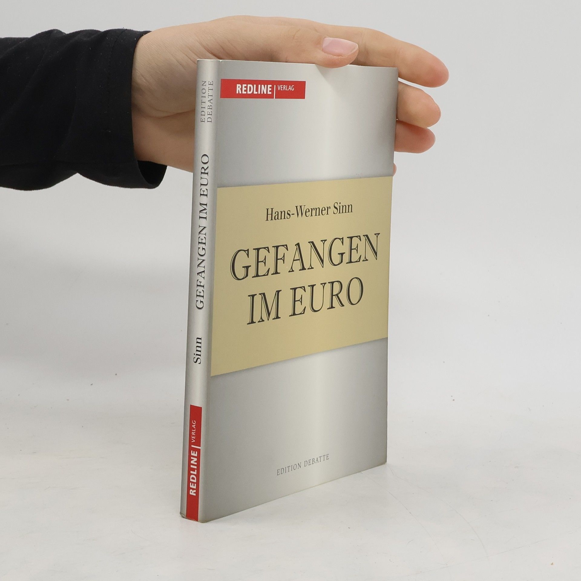 Werner Sinn Gefangen im Euro