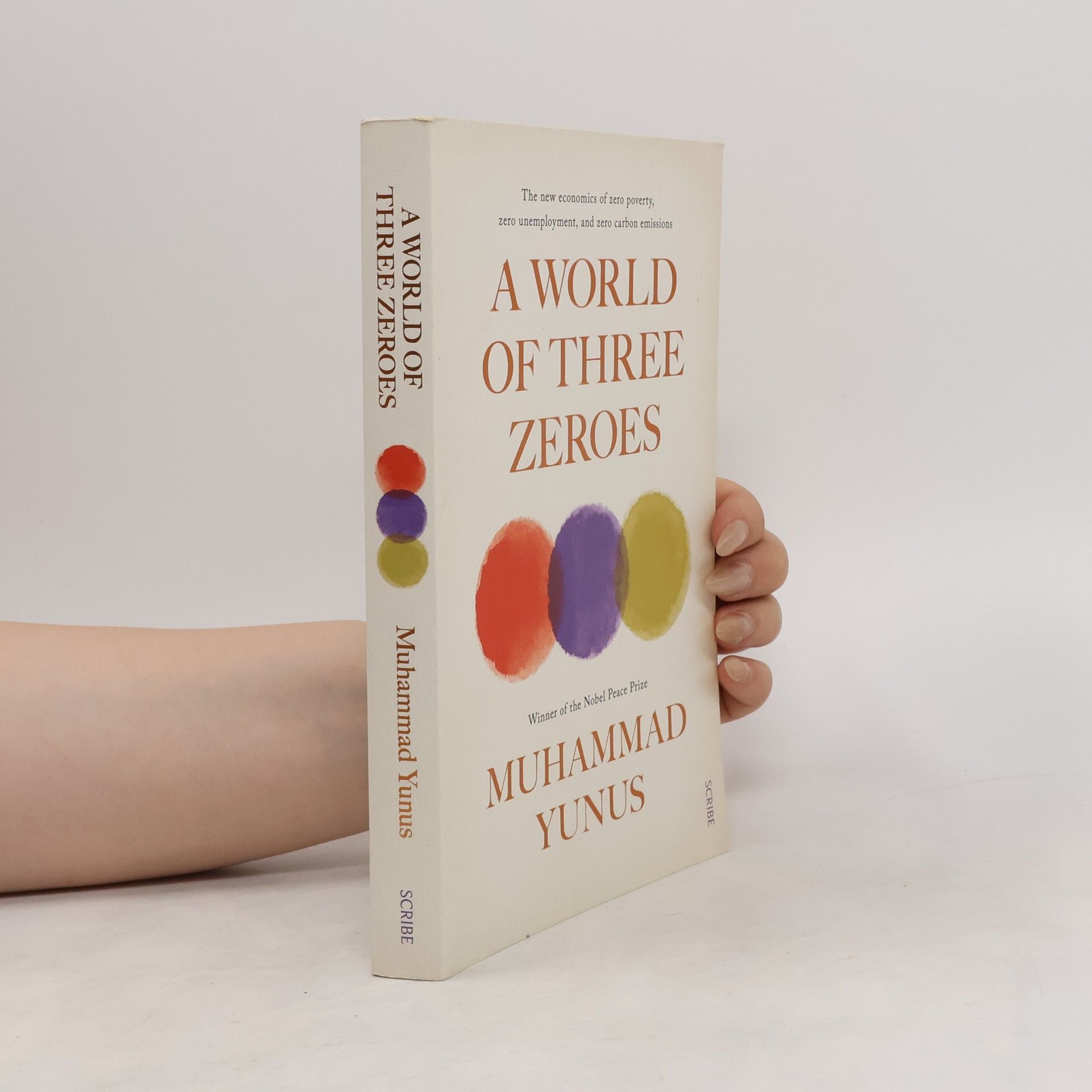 Muhammad Yunus World of Three Zeroes