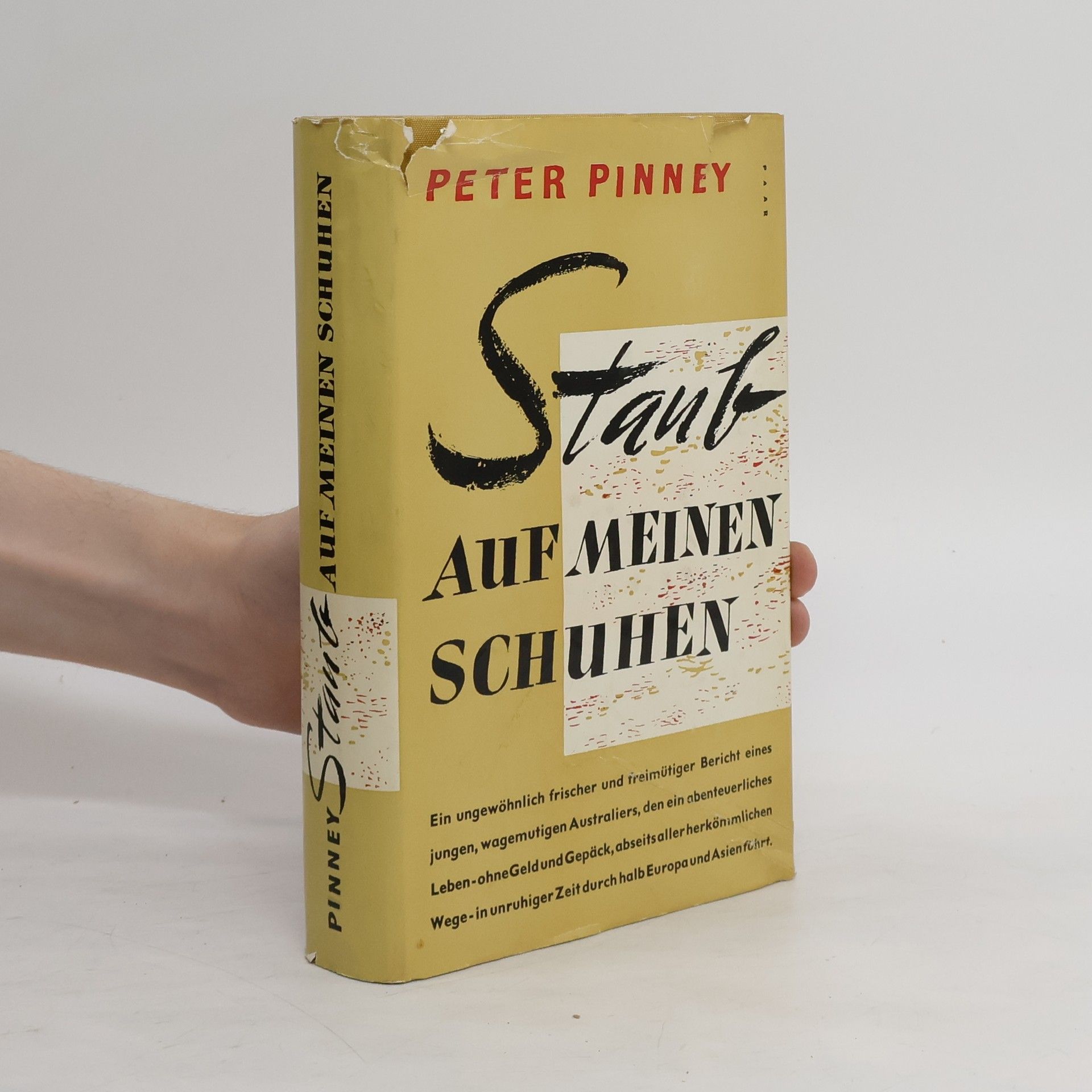 Peter Pinney Staub auf meinen Schuhen