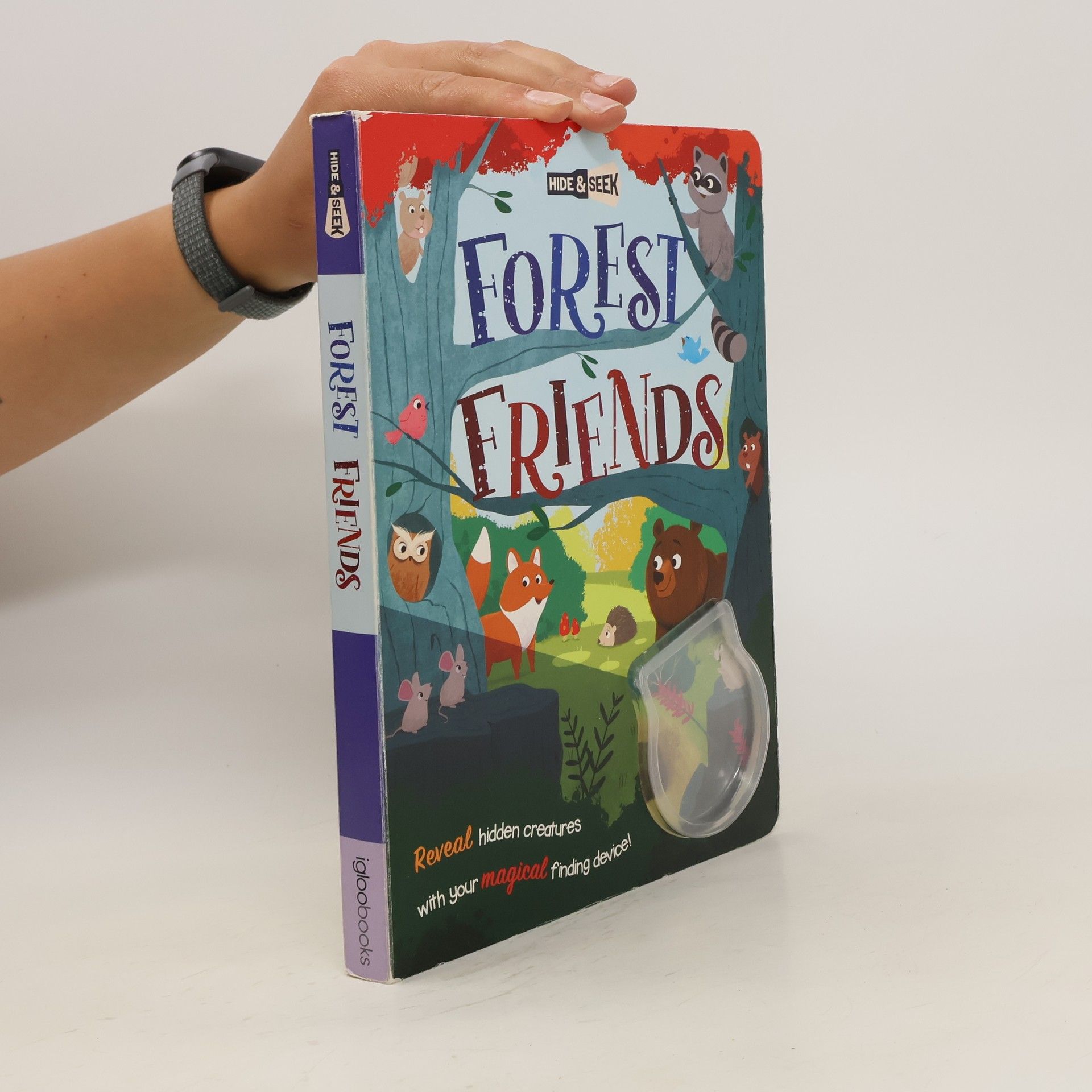 Igloo Books Hide-and-Seek Forest Friends