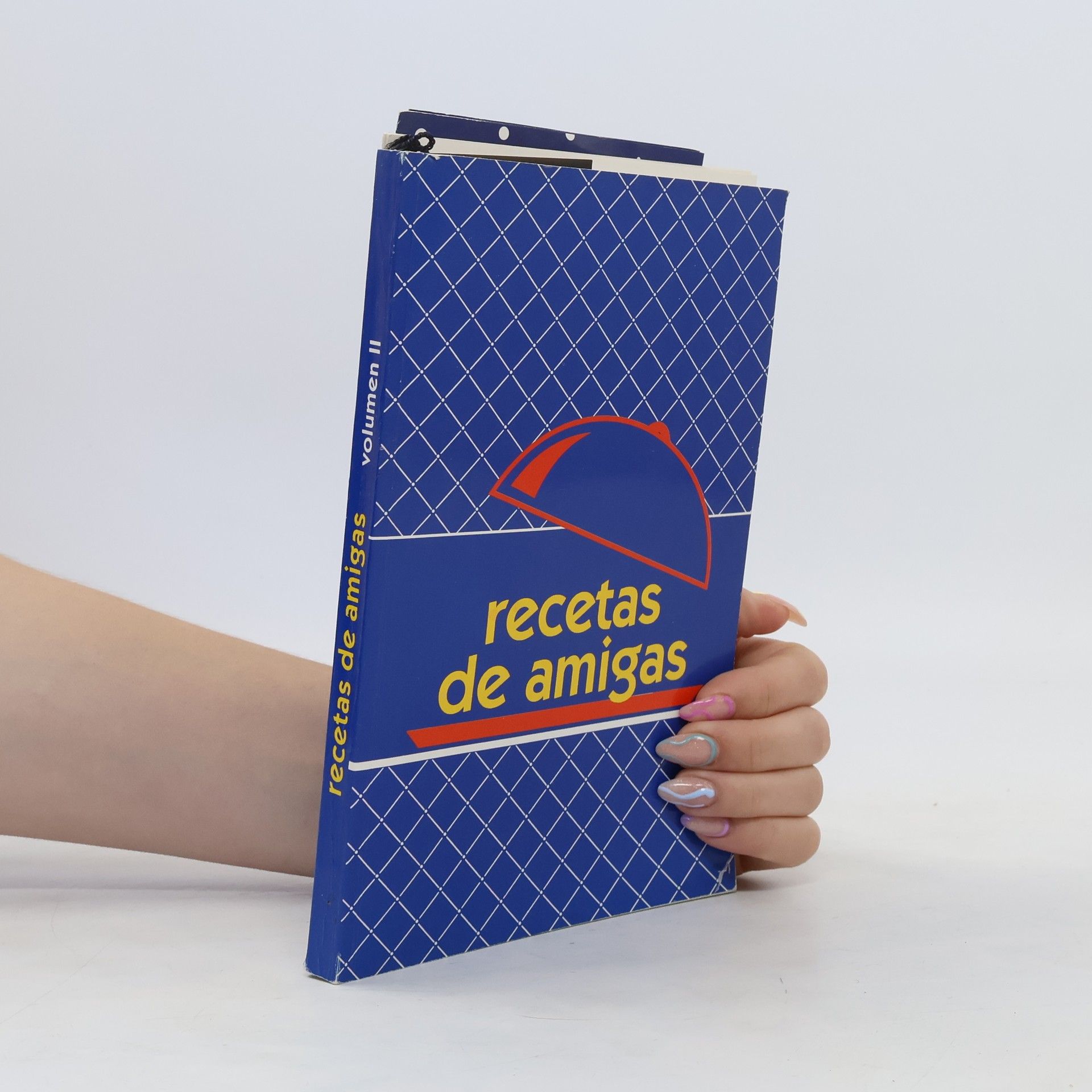 Autorenkollektiv Recetas de amigas Volumen II