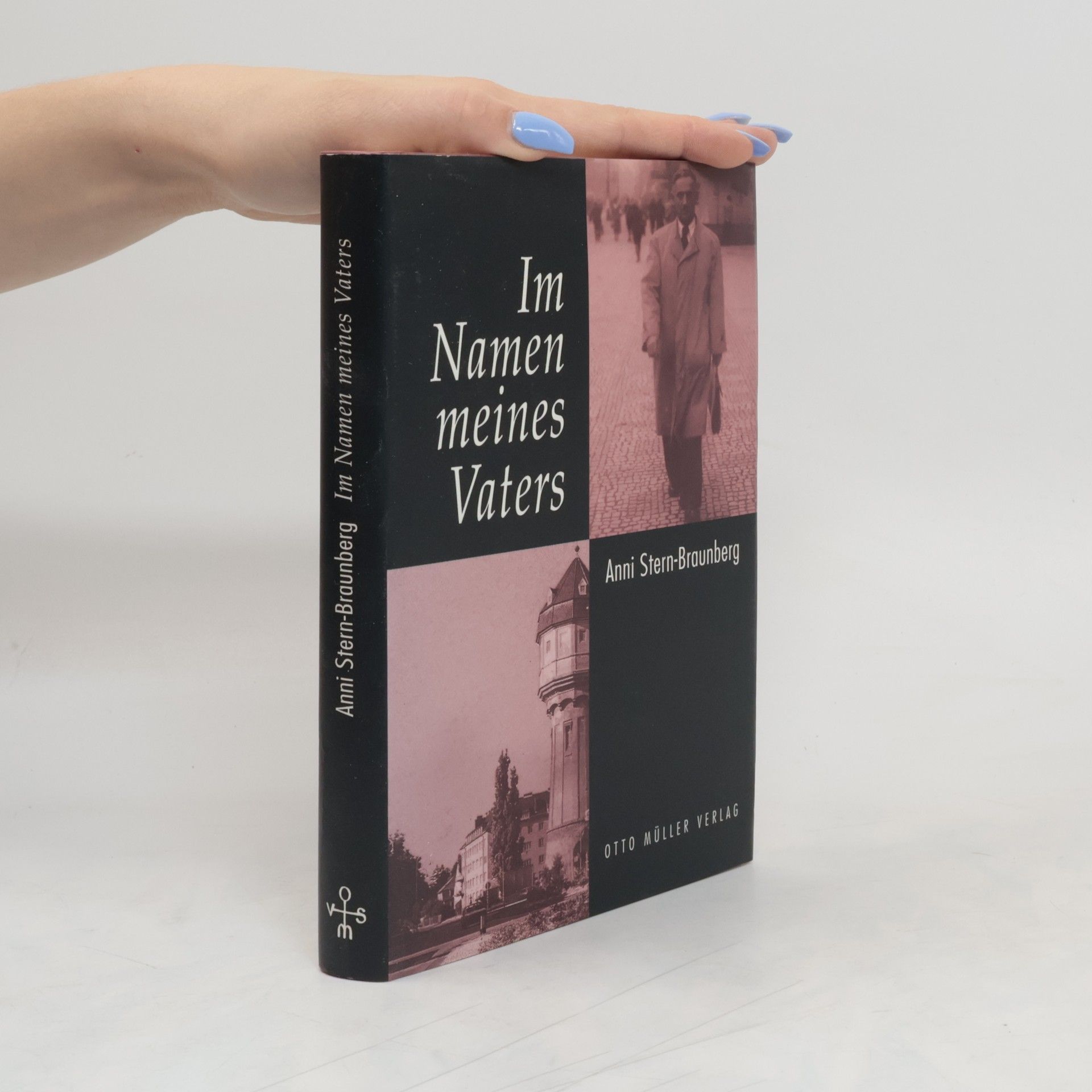 Anni Stern Braunberg Im Namen meines Vaters