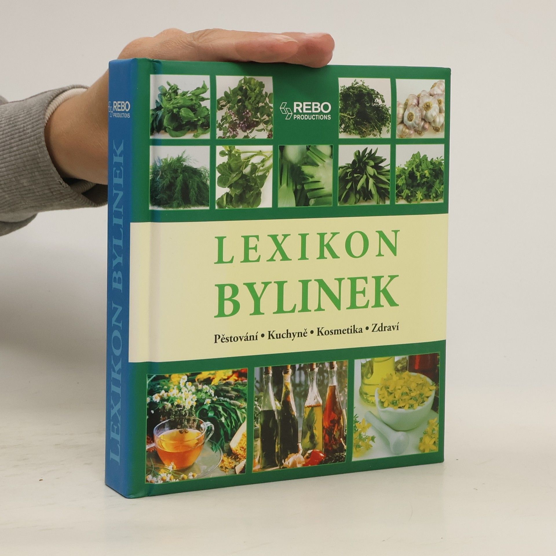 Andrea Rausch Lexikon bylinek