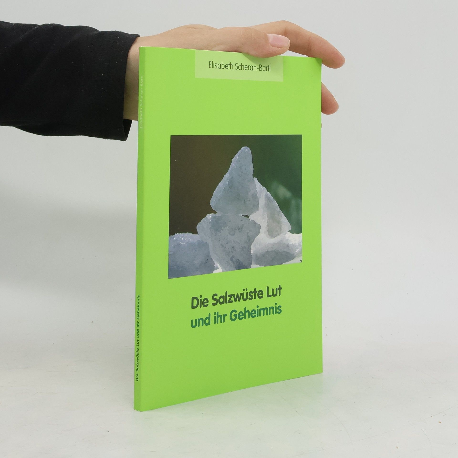 Elisabeth Scheran-Bartl Die Salzwüste Lut und ihr Geheimnis