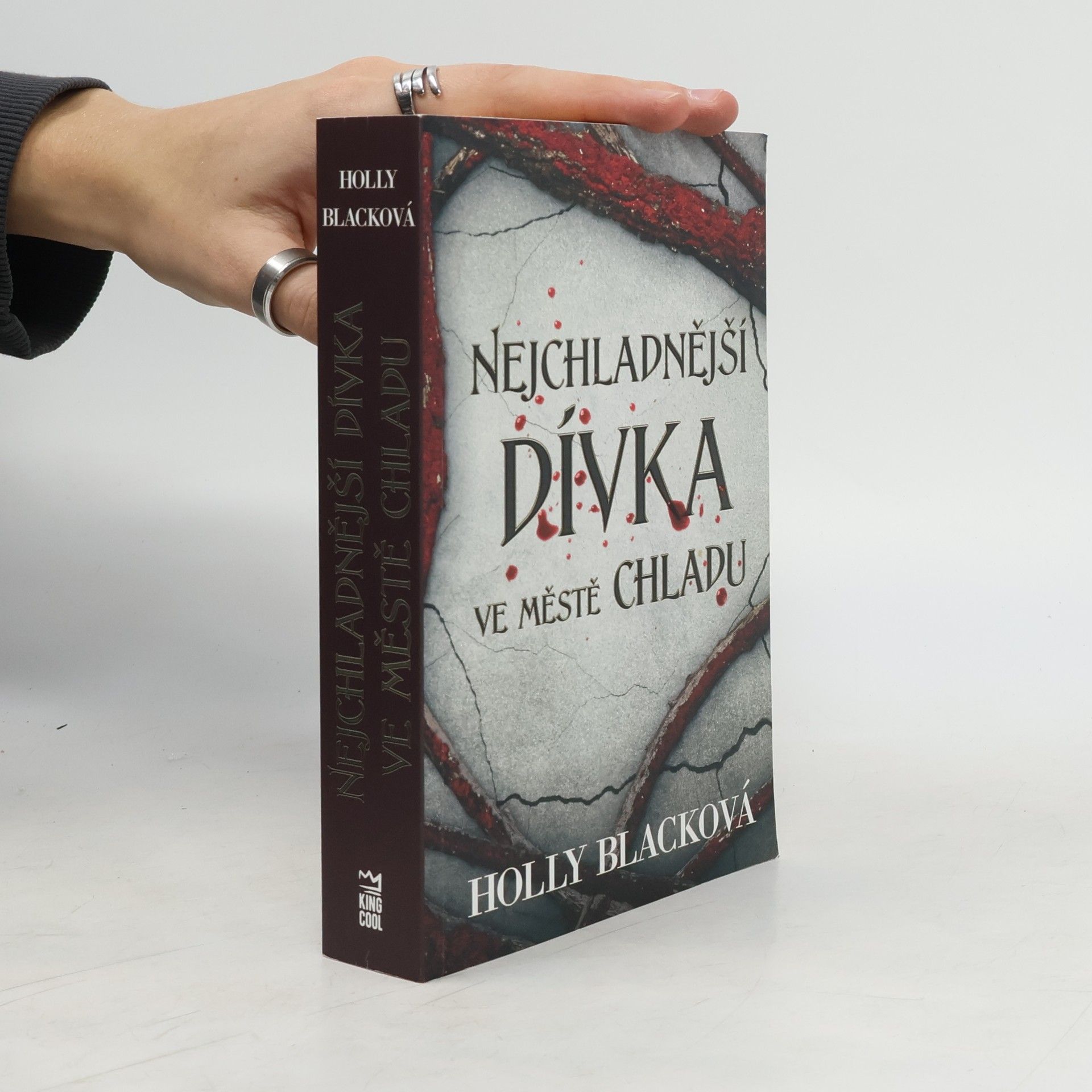 Holly Black Nejchladnější dívka ve městě chladu