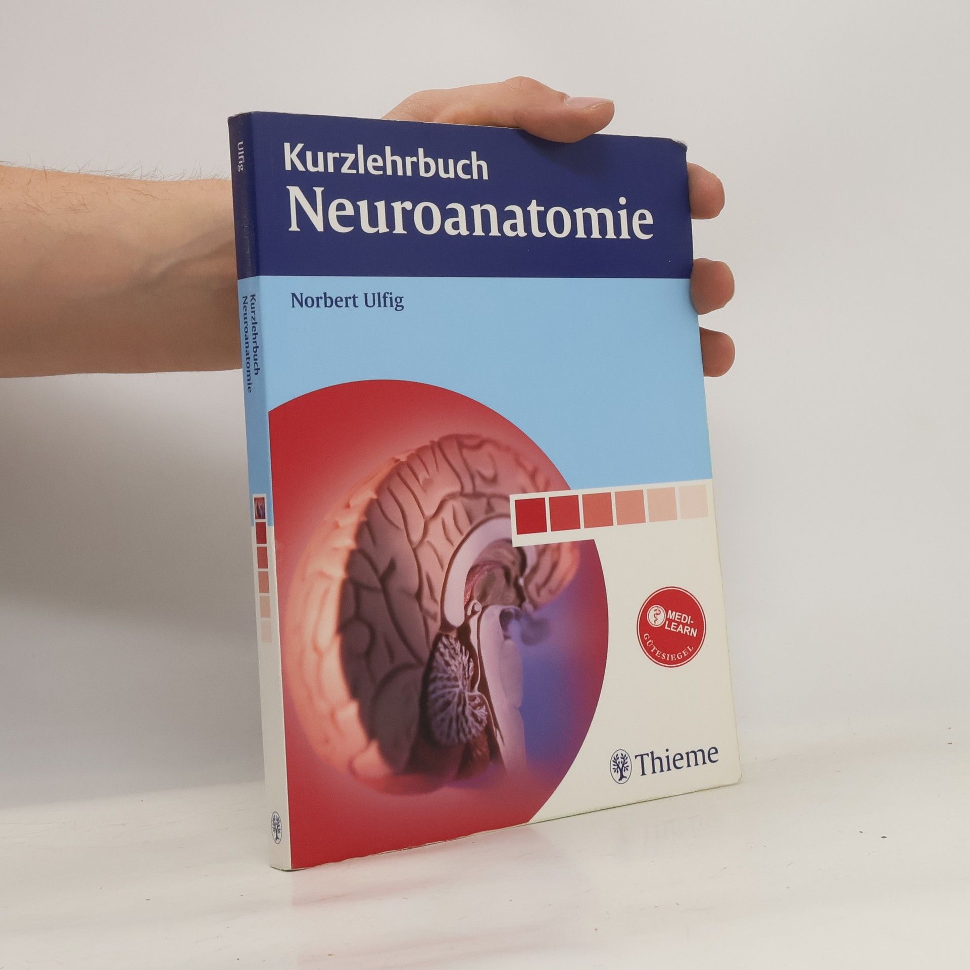 Norbert Ulfig Kurzlehrbuch Neuroanatomie