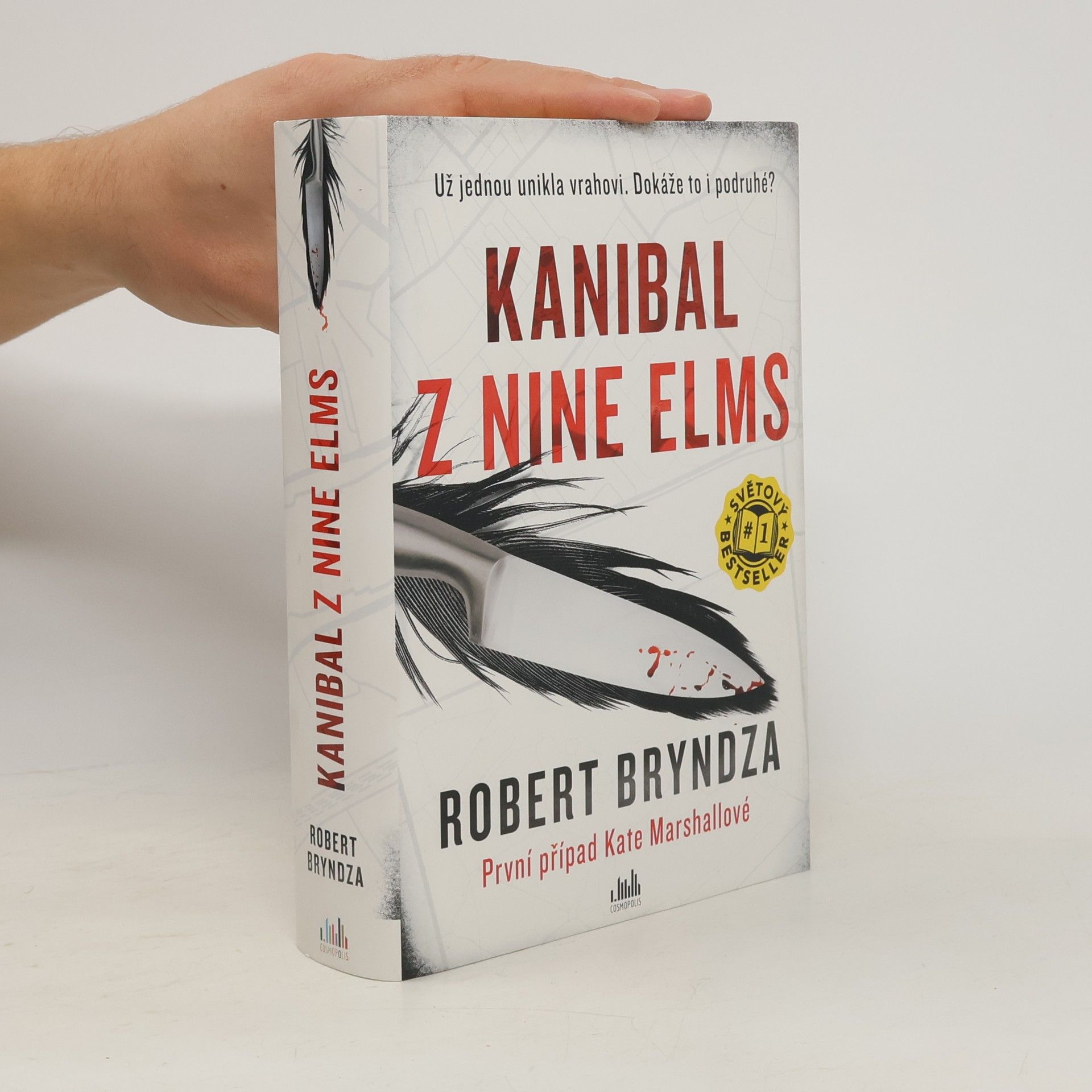 Robert Bryndza Kanibal z Nine Elms