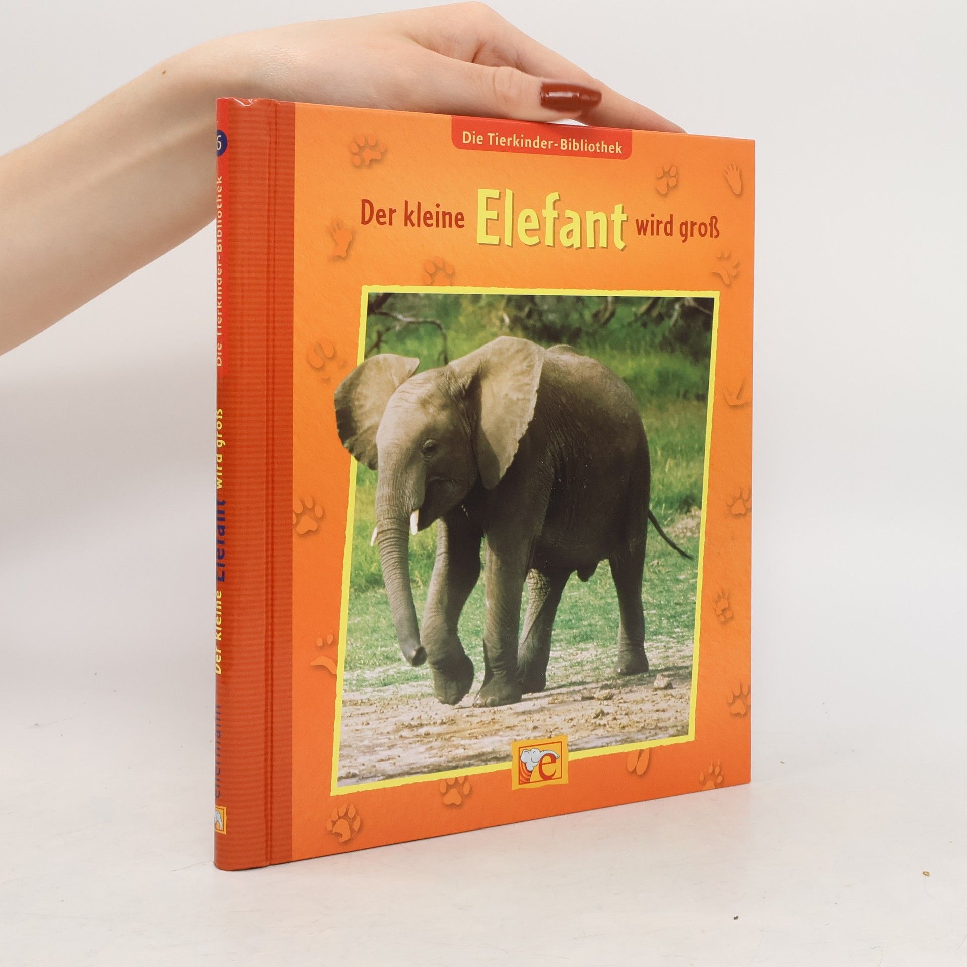 Corinna Küpper Der kleine Elefant wird groß