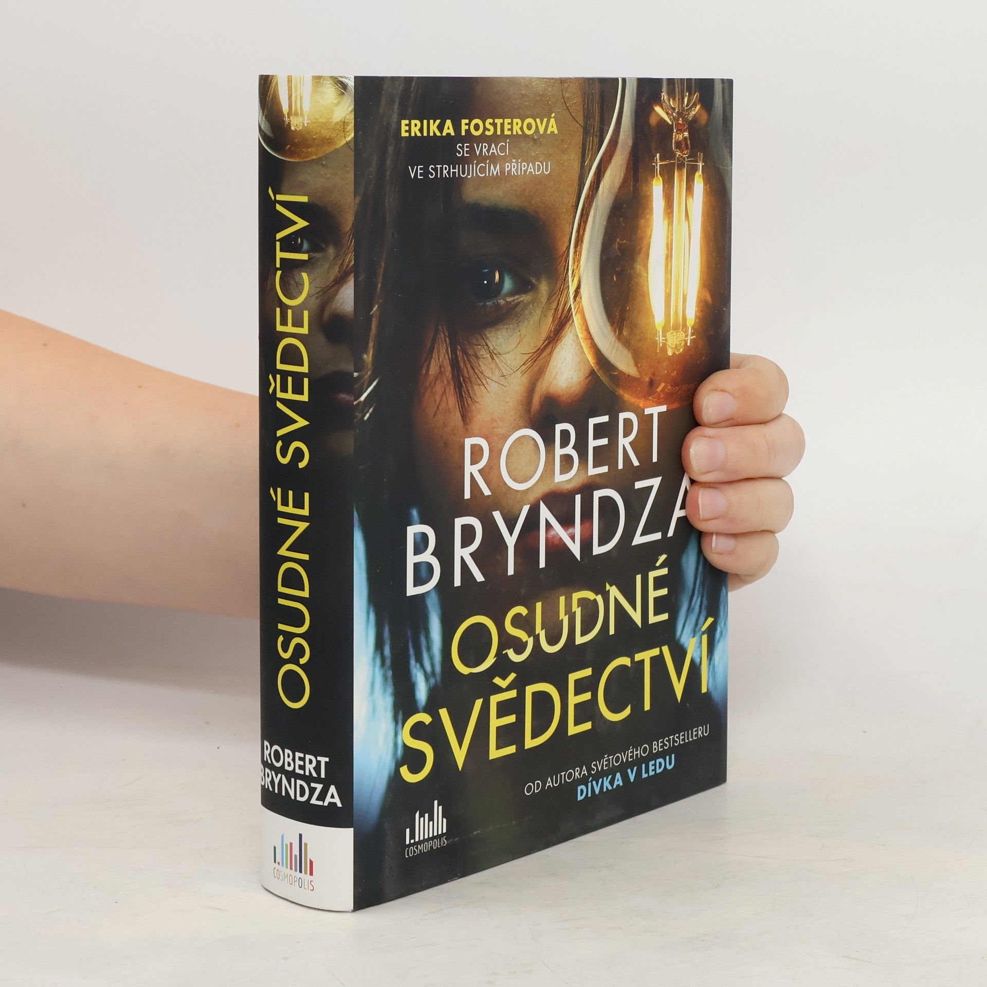 Robert Bryndza Osudné svědectví