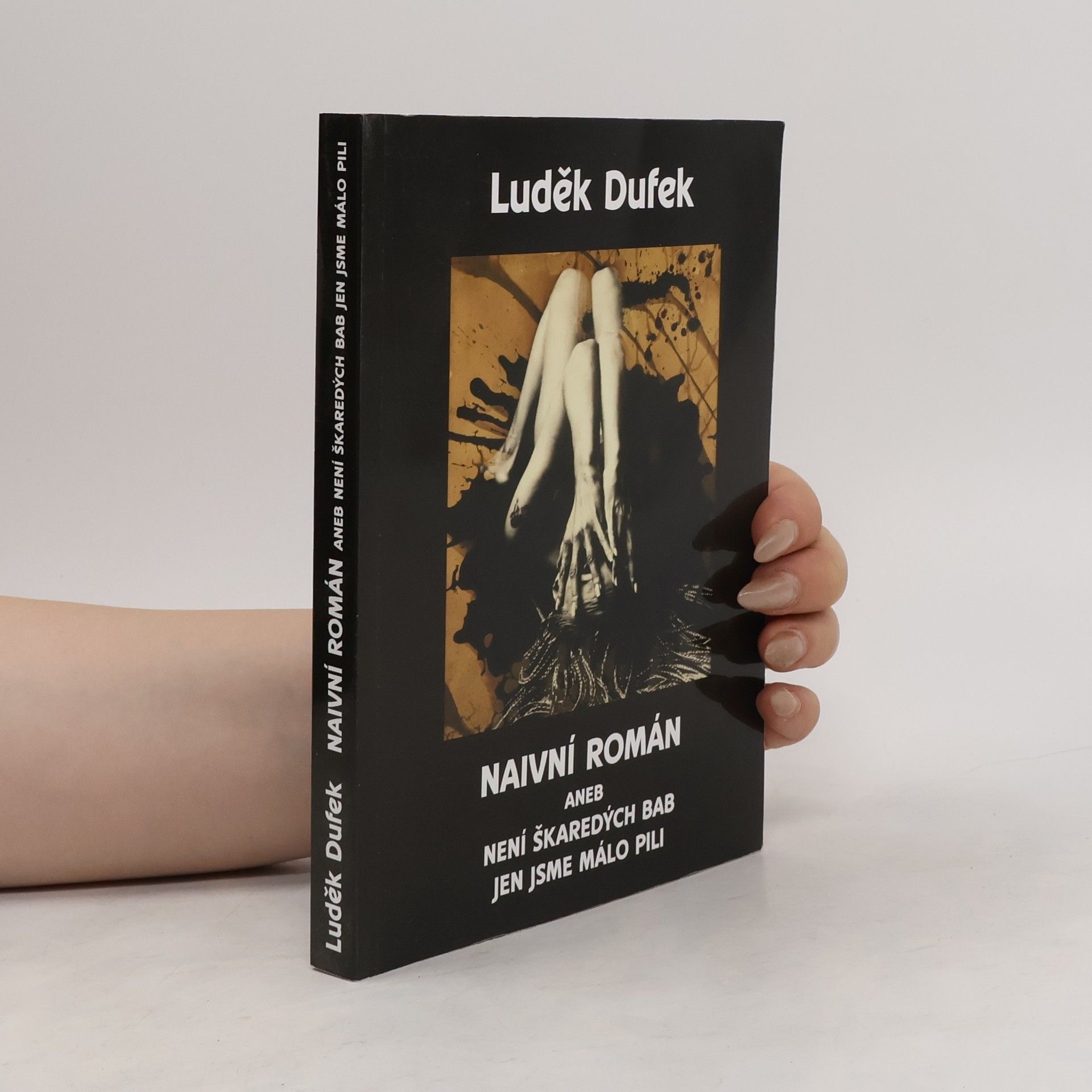 Naivní román aneb není škaredých bab, jen jsme málo pili