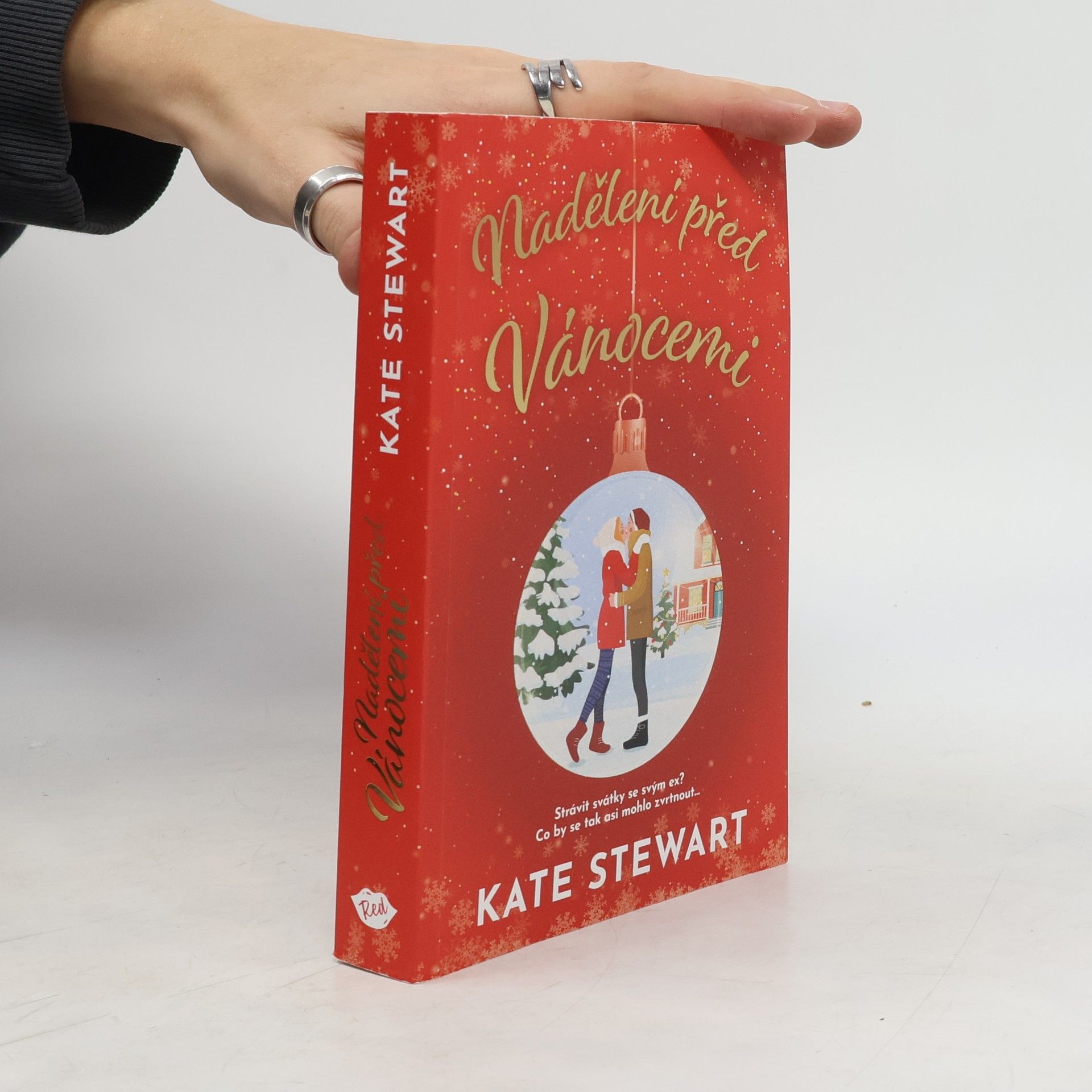 Kate Stewart Nadělení před Vánocemi