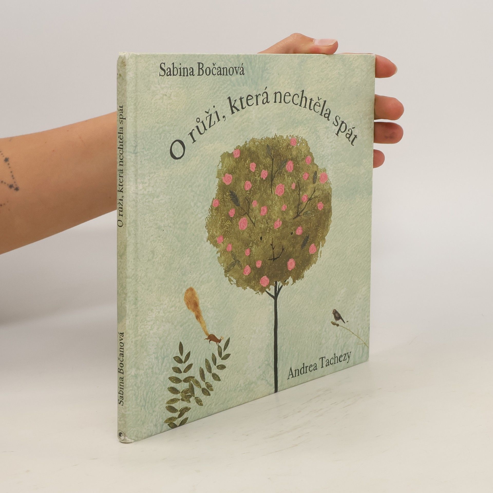 Sabina Bočanová O růži, která nechtěla spát