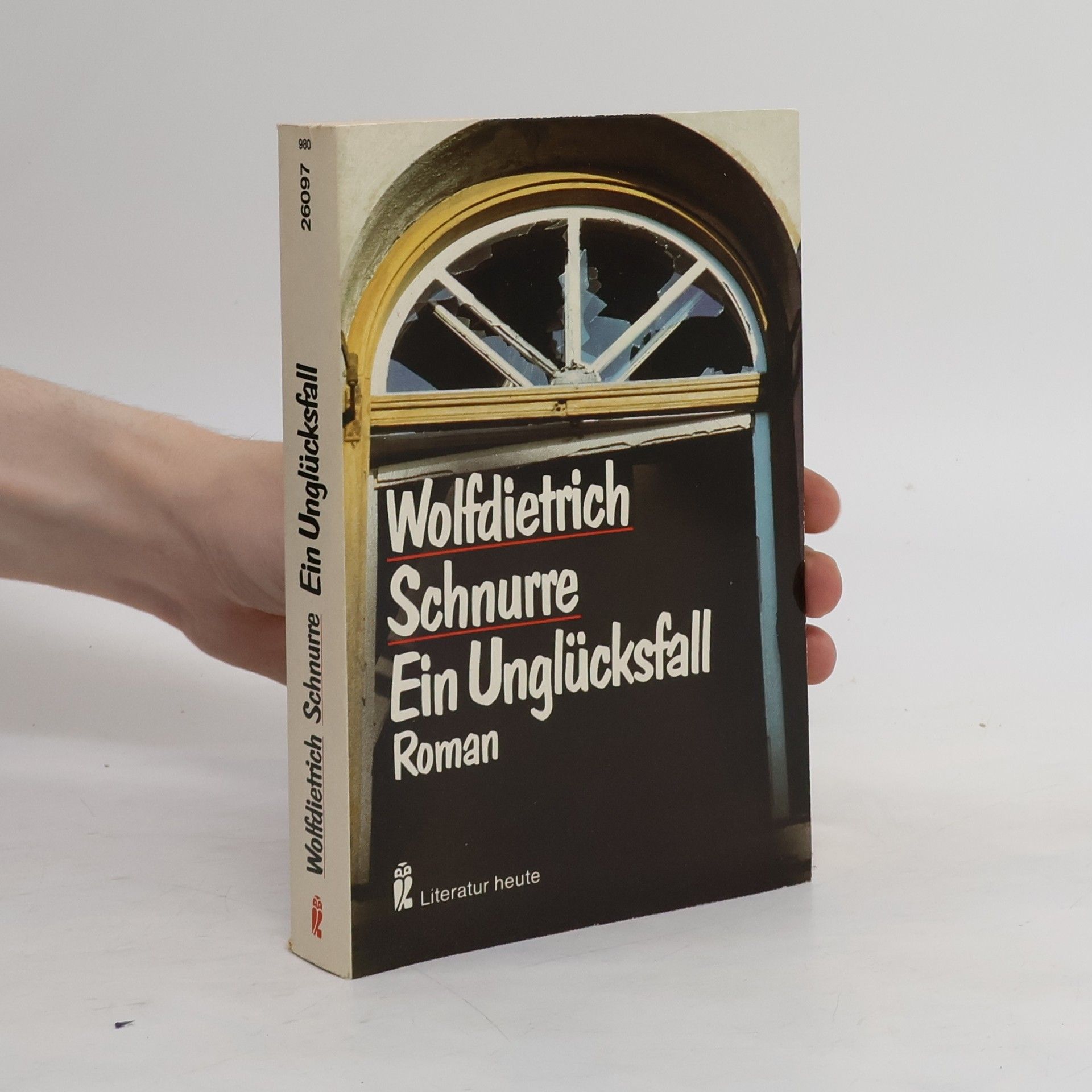 Wolf-Dietrich Schnurre Ein Unglücksfall : Roman