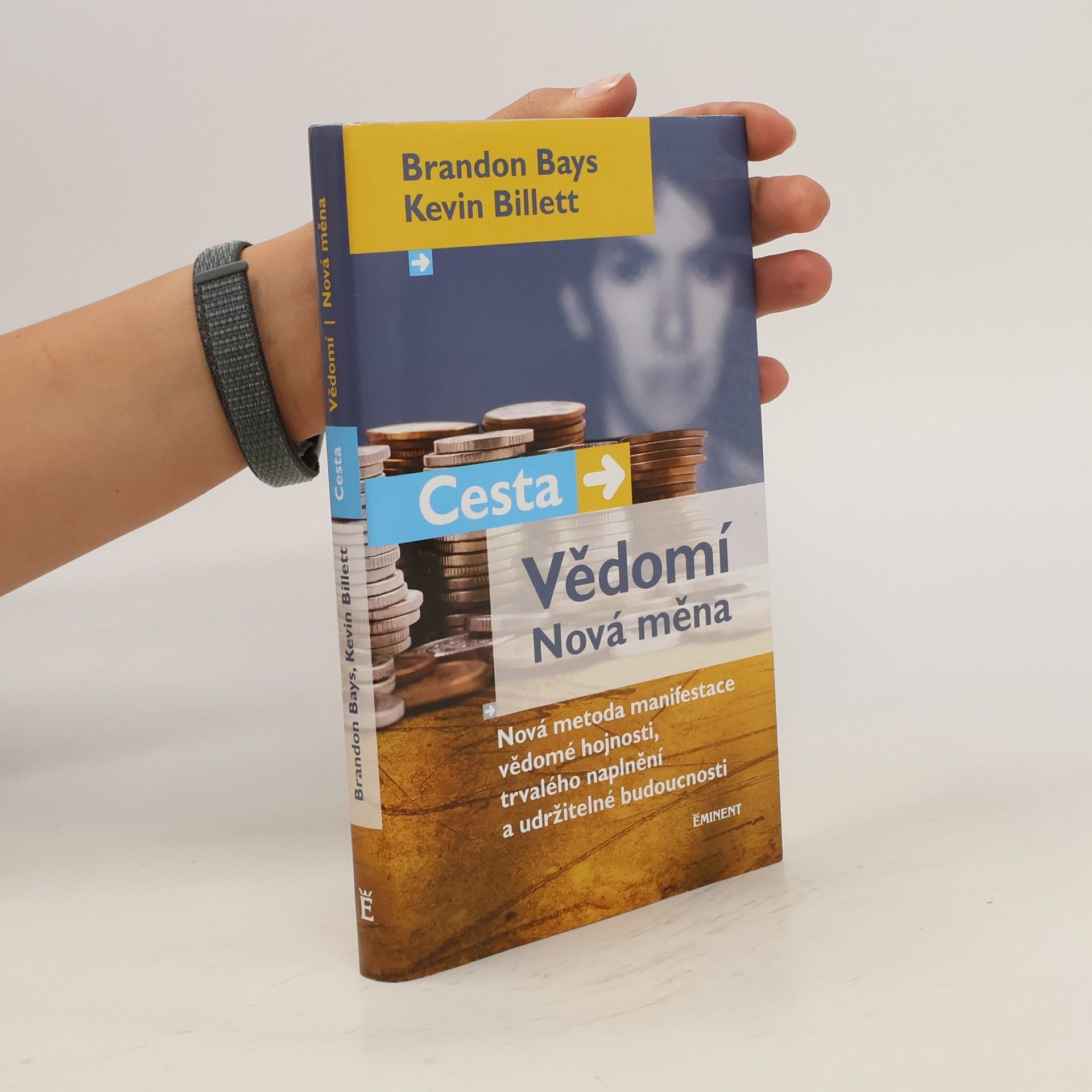 Brandon Bays Cesta, vědomí, nová měna